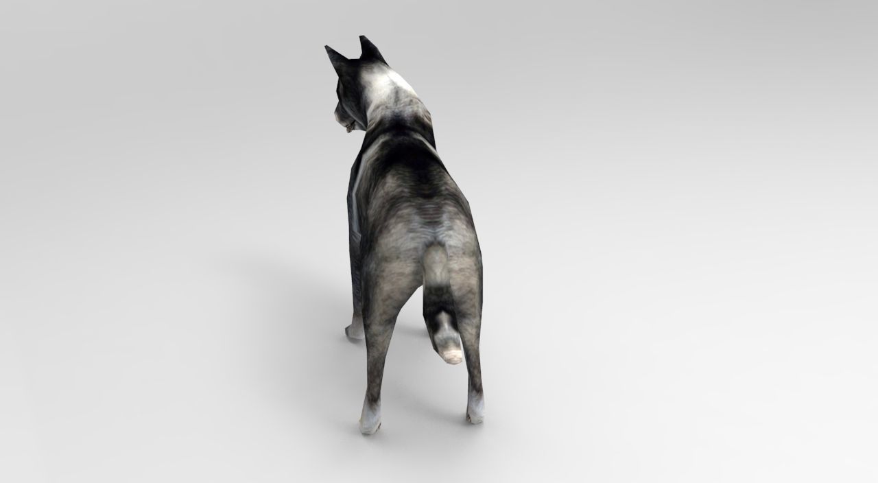 Dog Rigged and Animated Low-poly 3D model_15