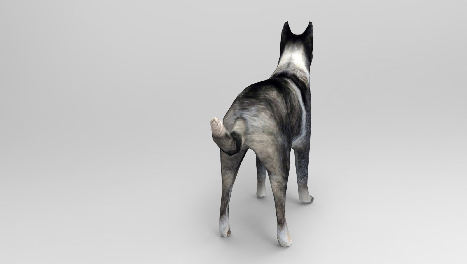Dog Rigged and Animated Low-poly 3D model_3