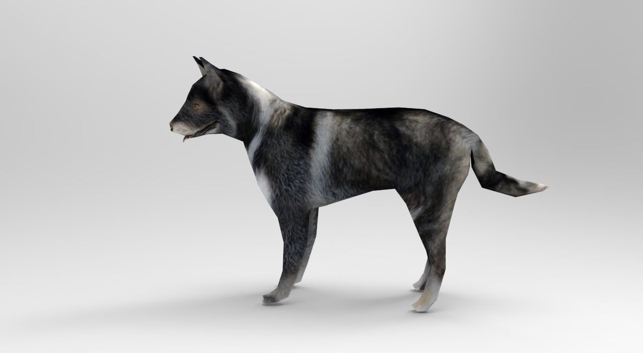 Dog Rigged and Animated Low-poly 3D model_8