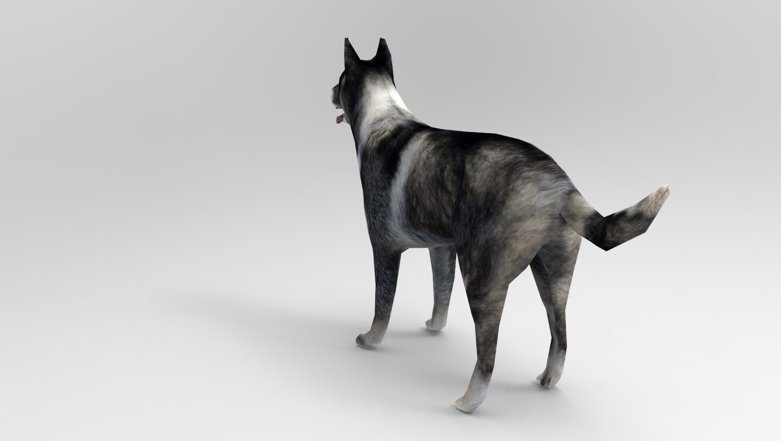 Dog Rigged and Animated Low-poly 3D model_2