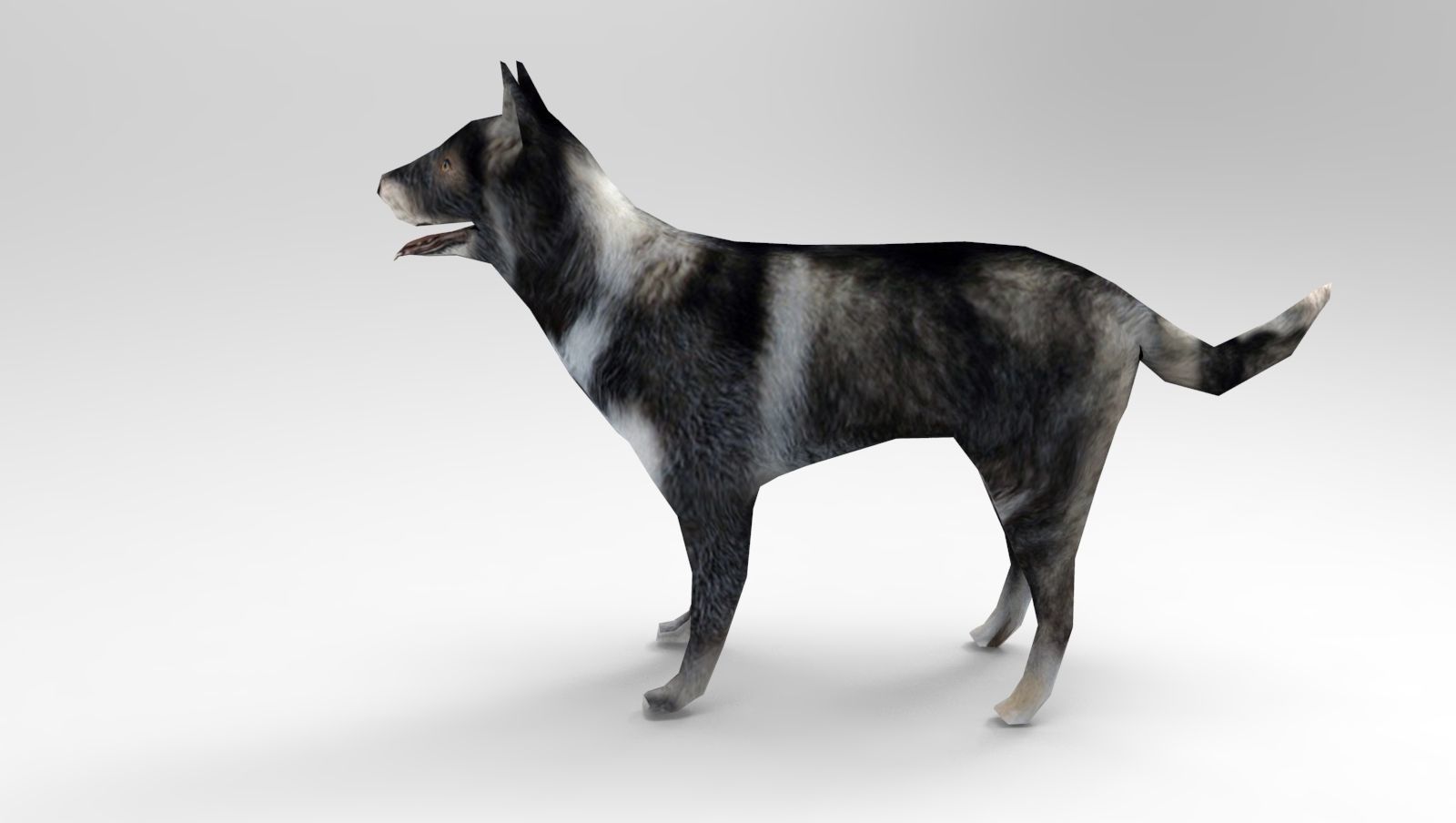 Dog Rigged and Animated Low-poly 3D model_16