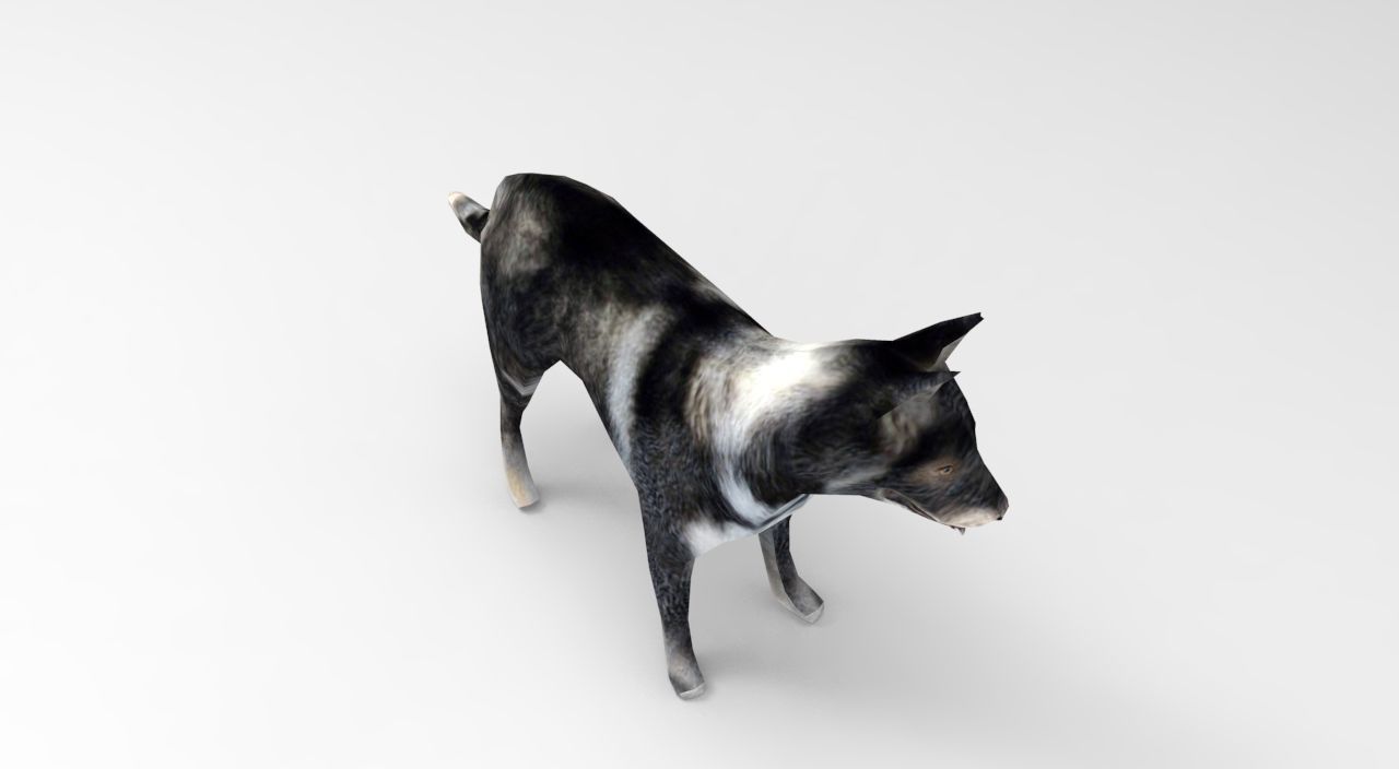 Dog Rigged and Animated Low-poly 3D model_13