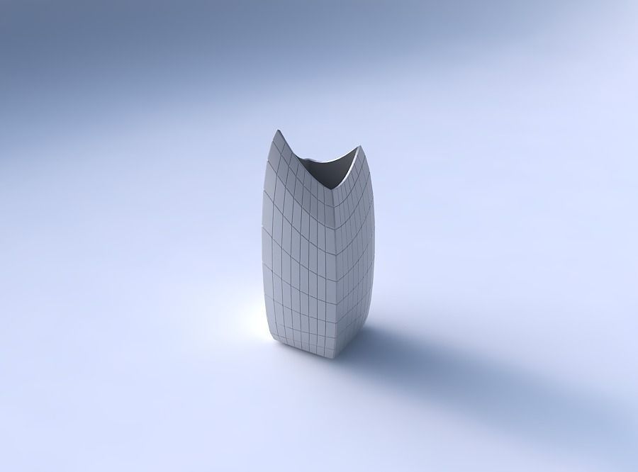 Vase double arc rectangle with grid plates 3D print model_3