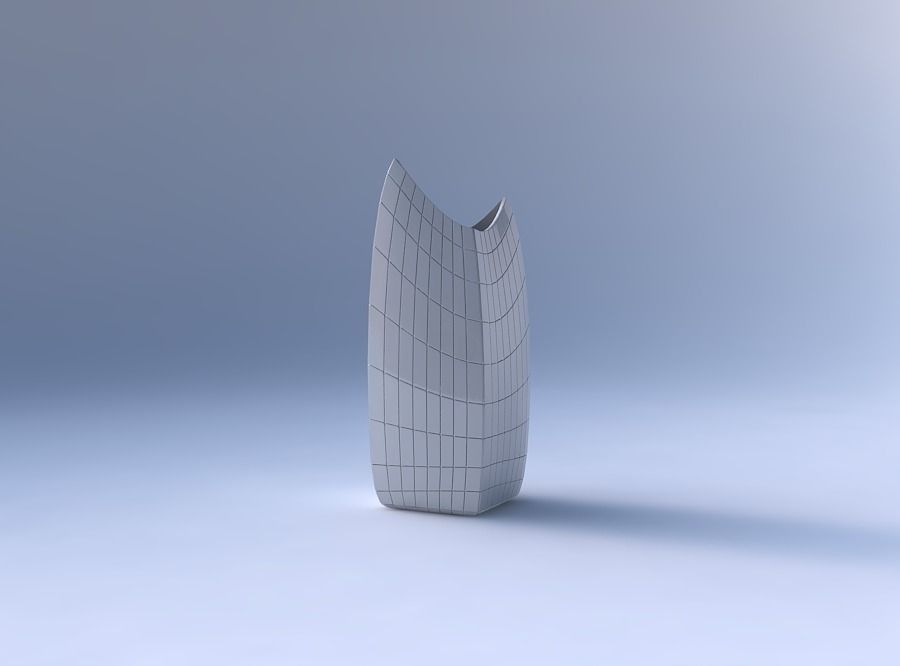 Vase double arc rectangle with grid plates 3D print model_4