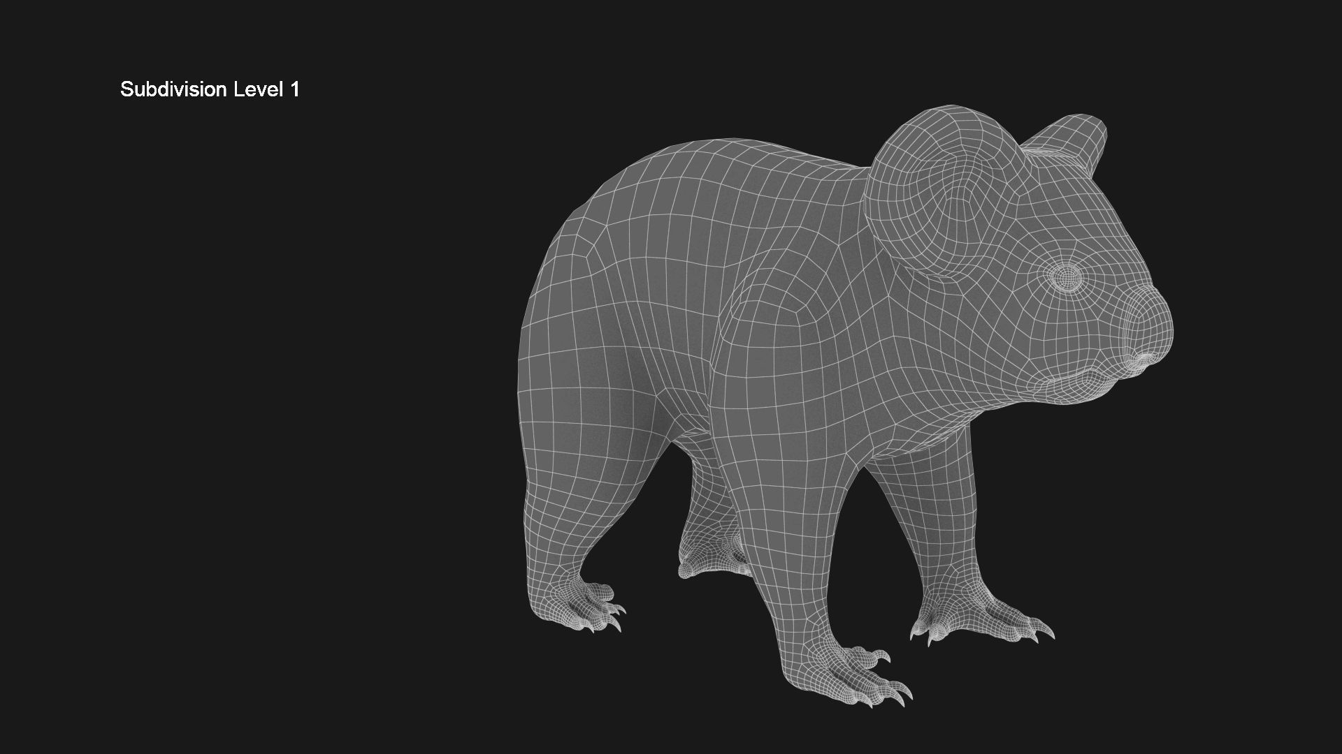 3D KOALA BEAR Low-poly 3D model_14