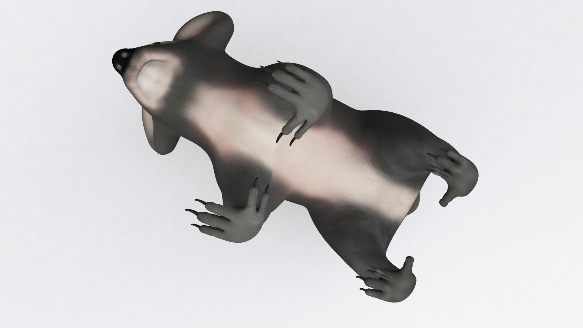 3D KOALA BEAR Low-poly 3D model_13