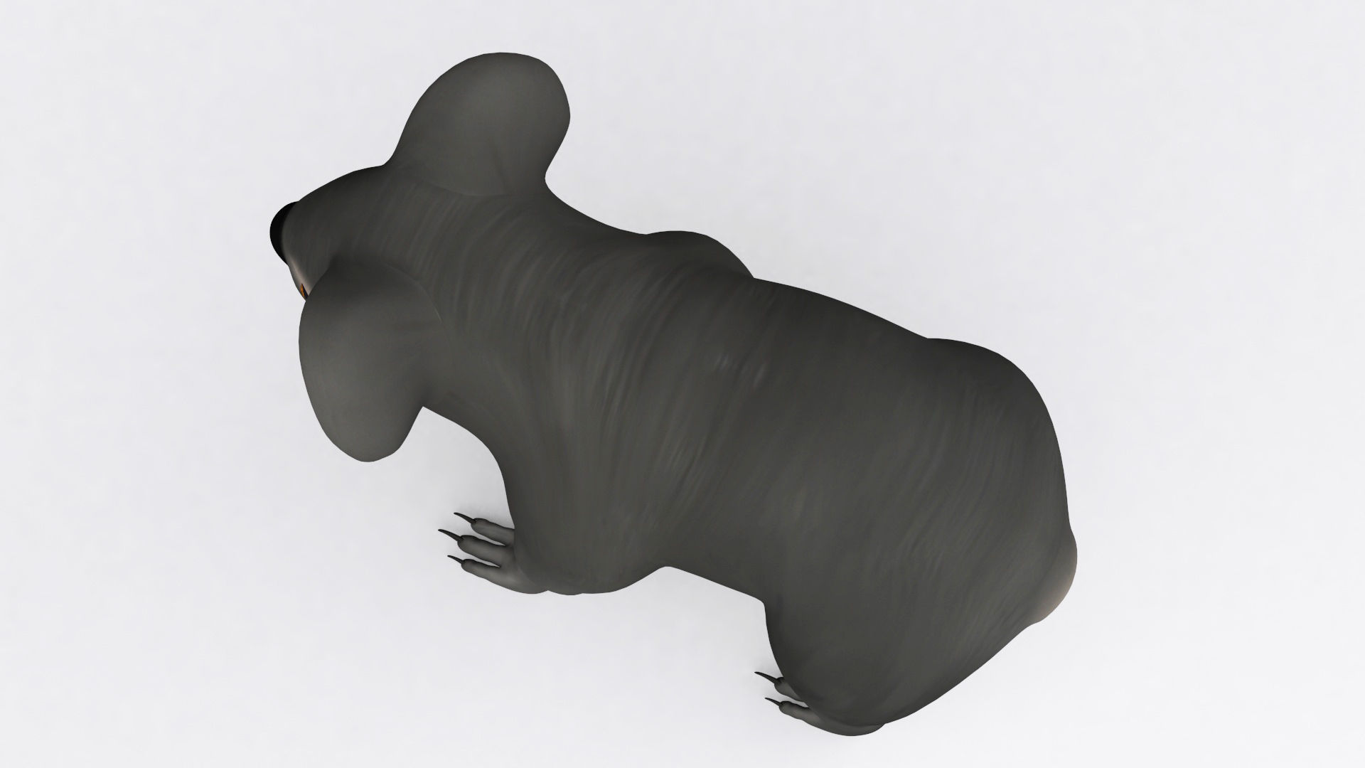 3D KOALA BEAR Low-poly 3D model_10