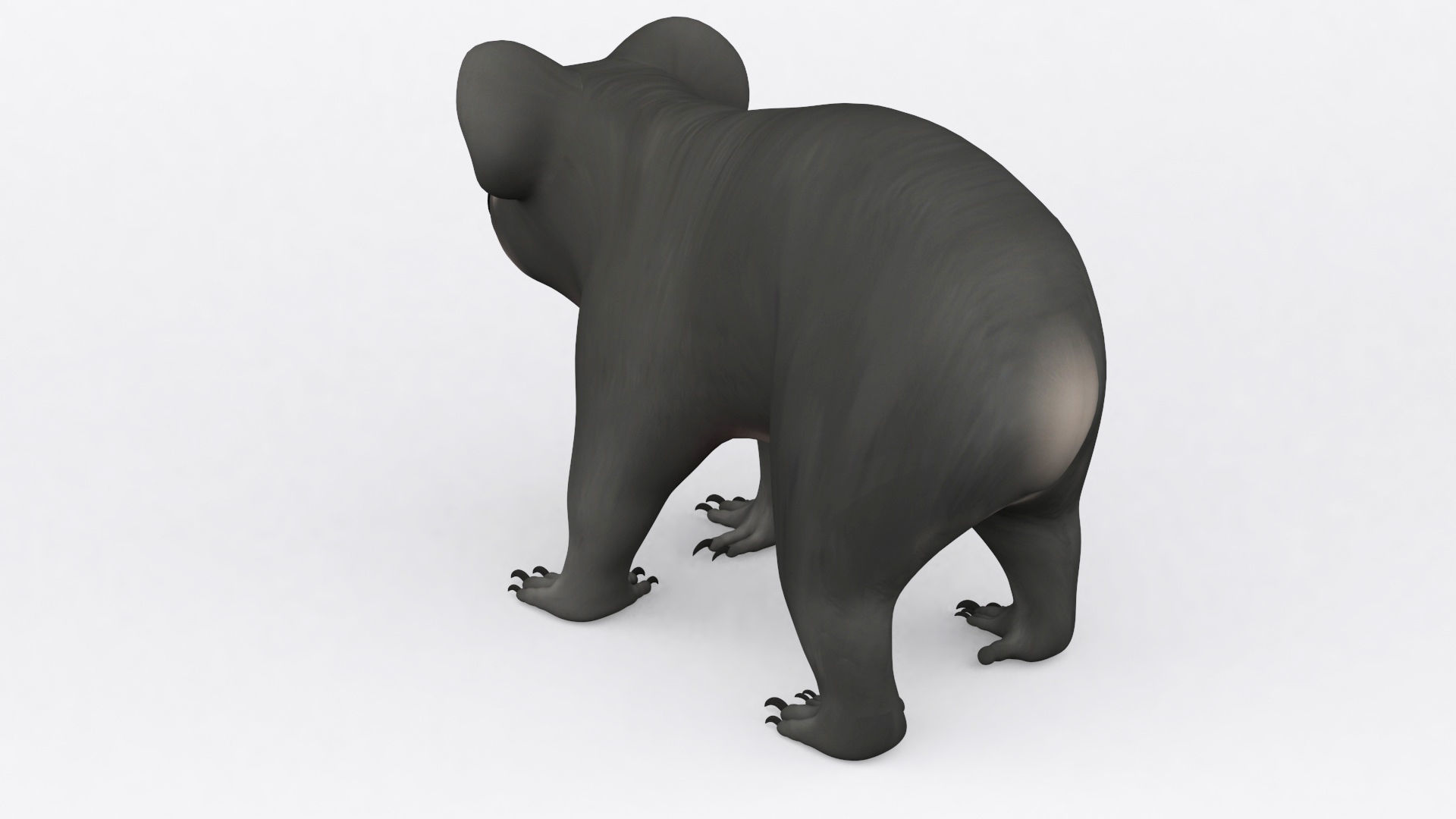 3D KOALA BEAR Low-poly 3D model_8