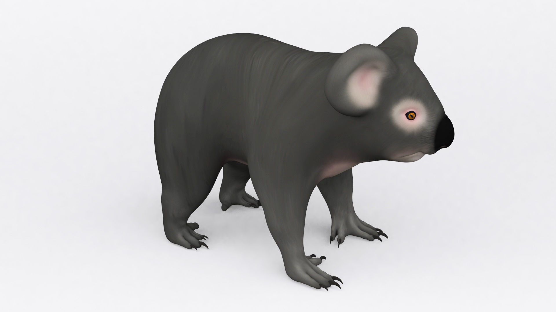 3D KOALA BEAR Low-poly 3D model_6