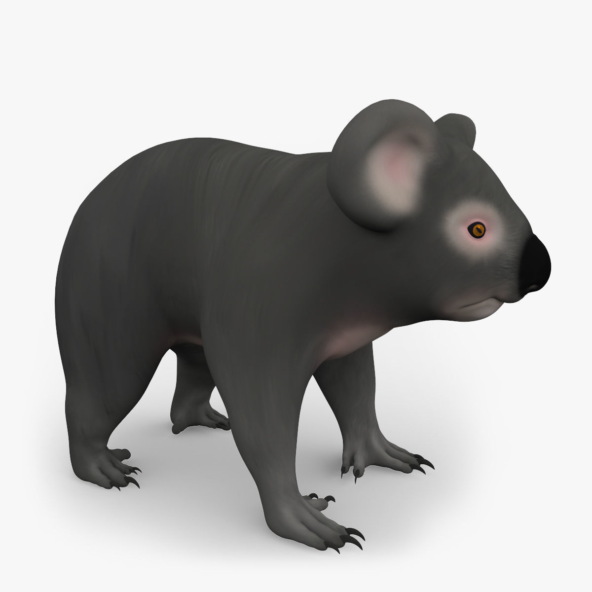 3D KOALA BEAR Low-poly 3D model_2