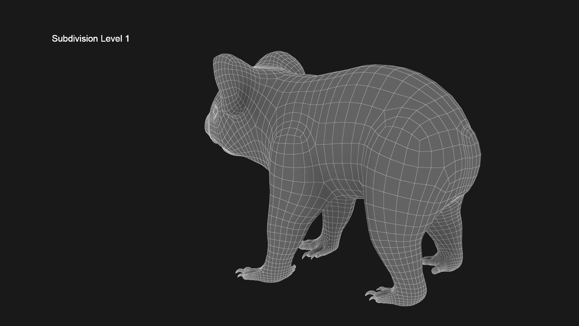3D KOALA BEAR Low-poly 3D model_16