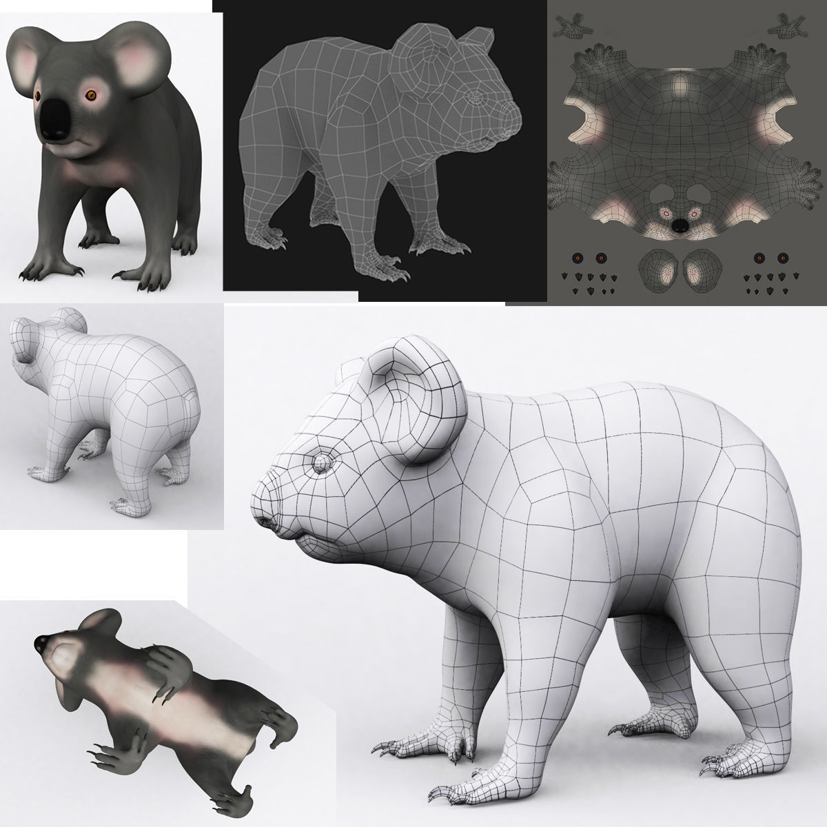3D KOALA BEAR Low-poly 3D model_18