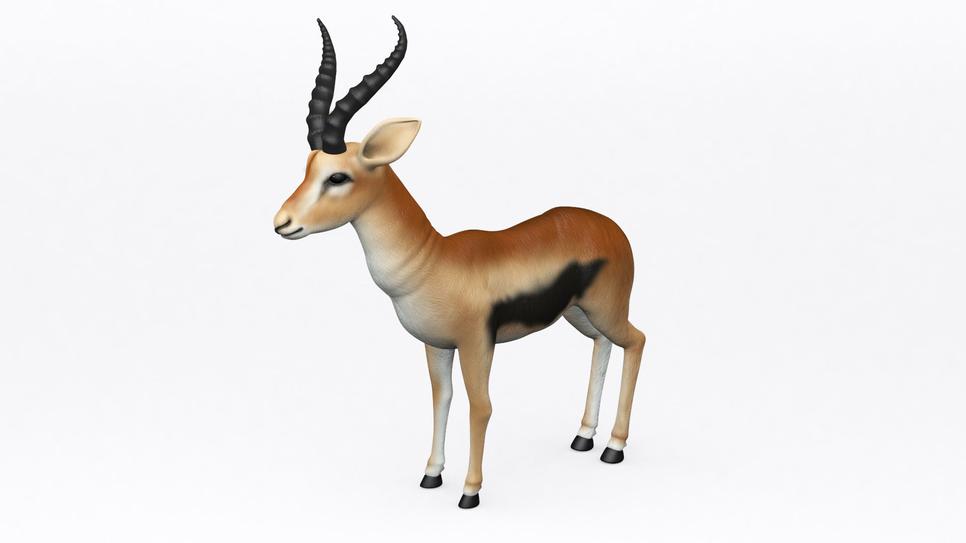 3D ANTELOPE Low-poly 3D model_2