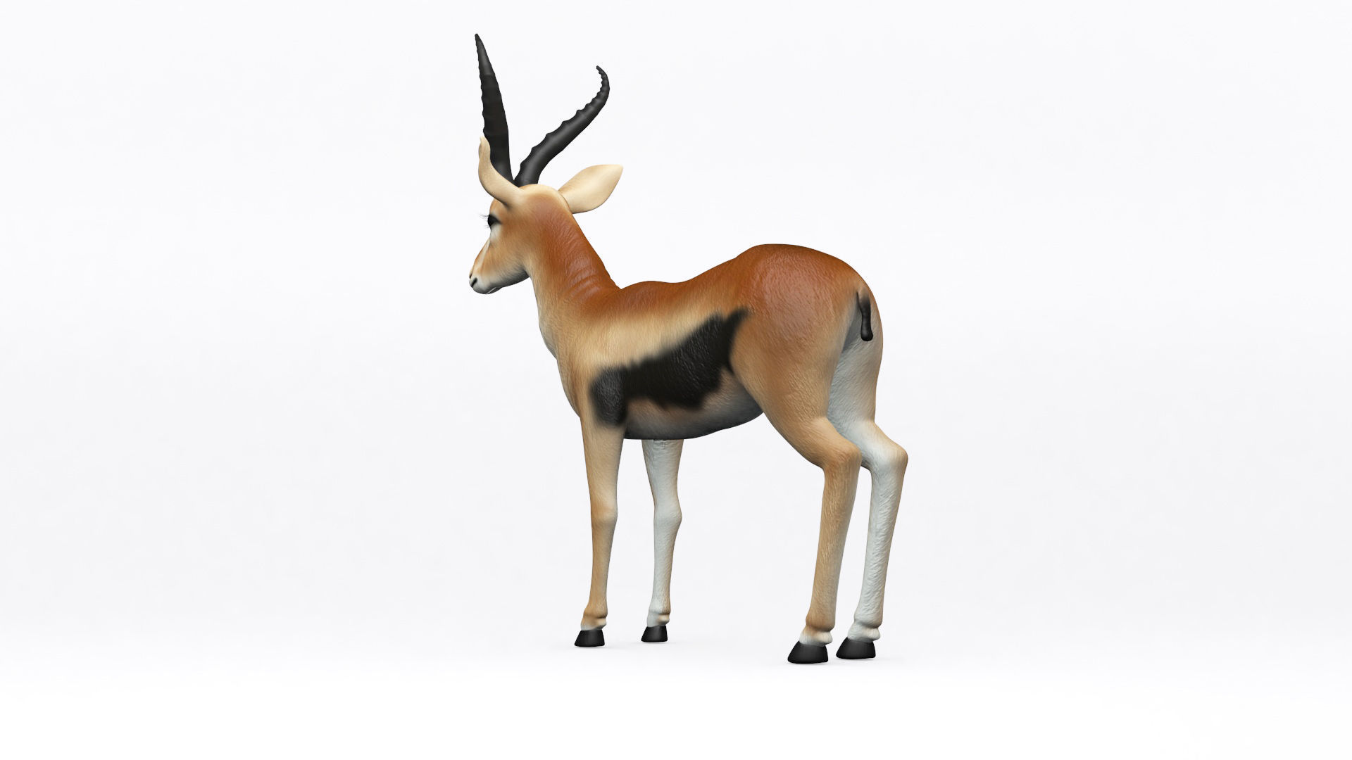 3D ANTELOPE Low-poly 3D model_6