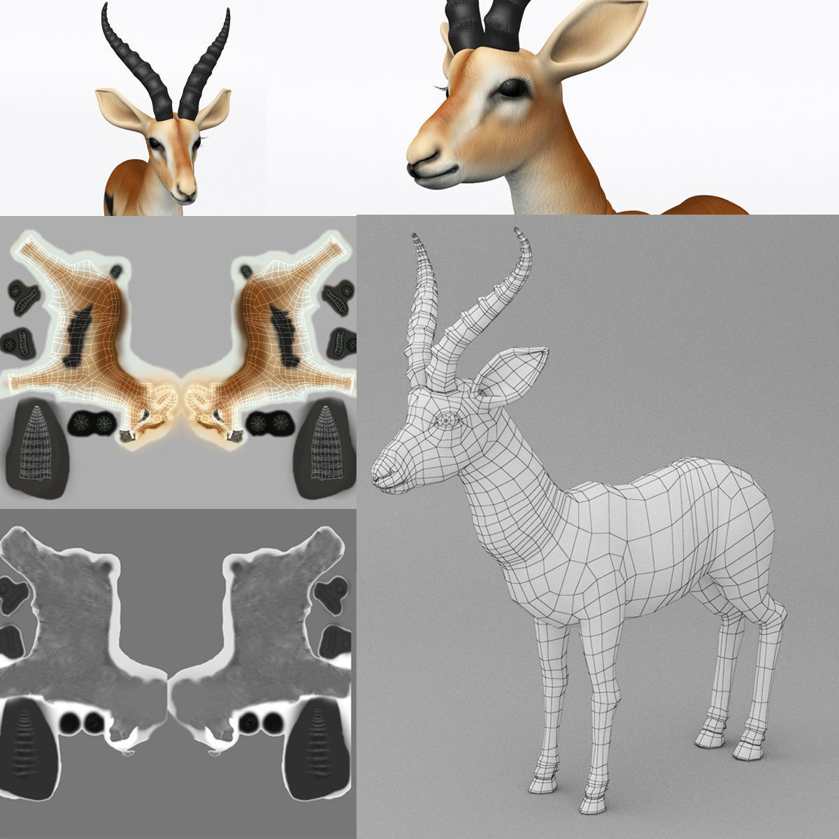 3D ANTELOPE Low-poly 3D model_15