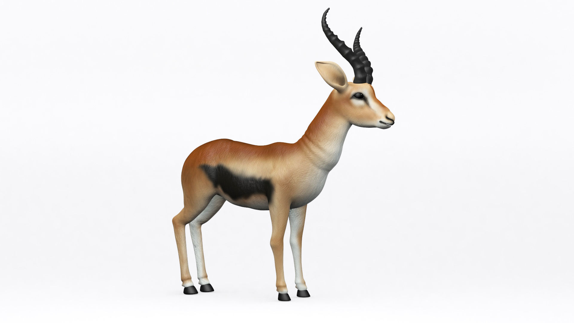 3D ANTELOPE Low-poly 3D model_7