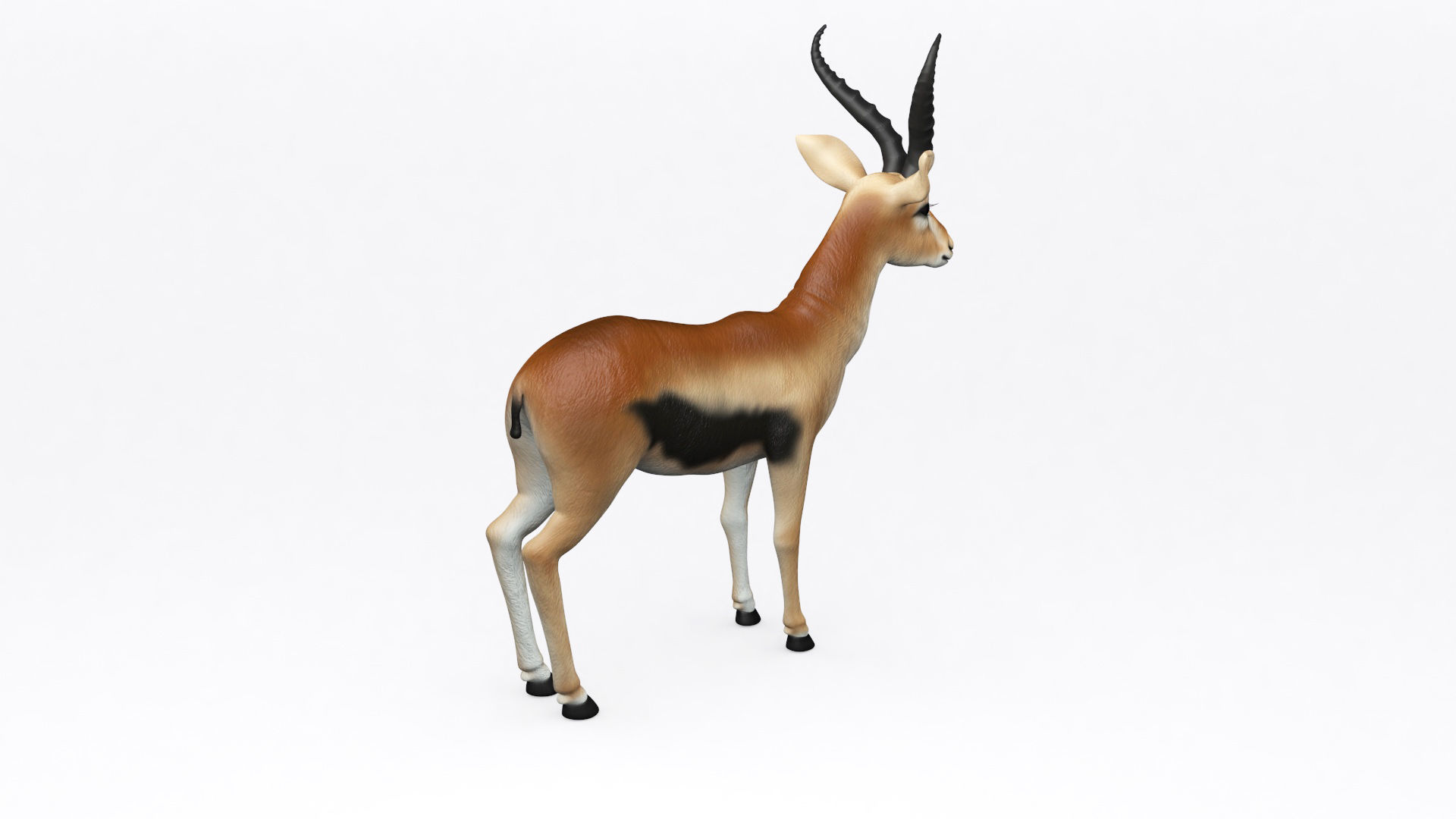 3D ANTELOPE Low-poly 3D model_4