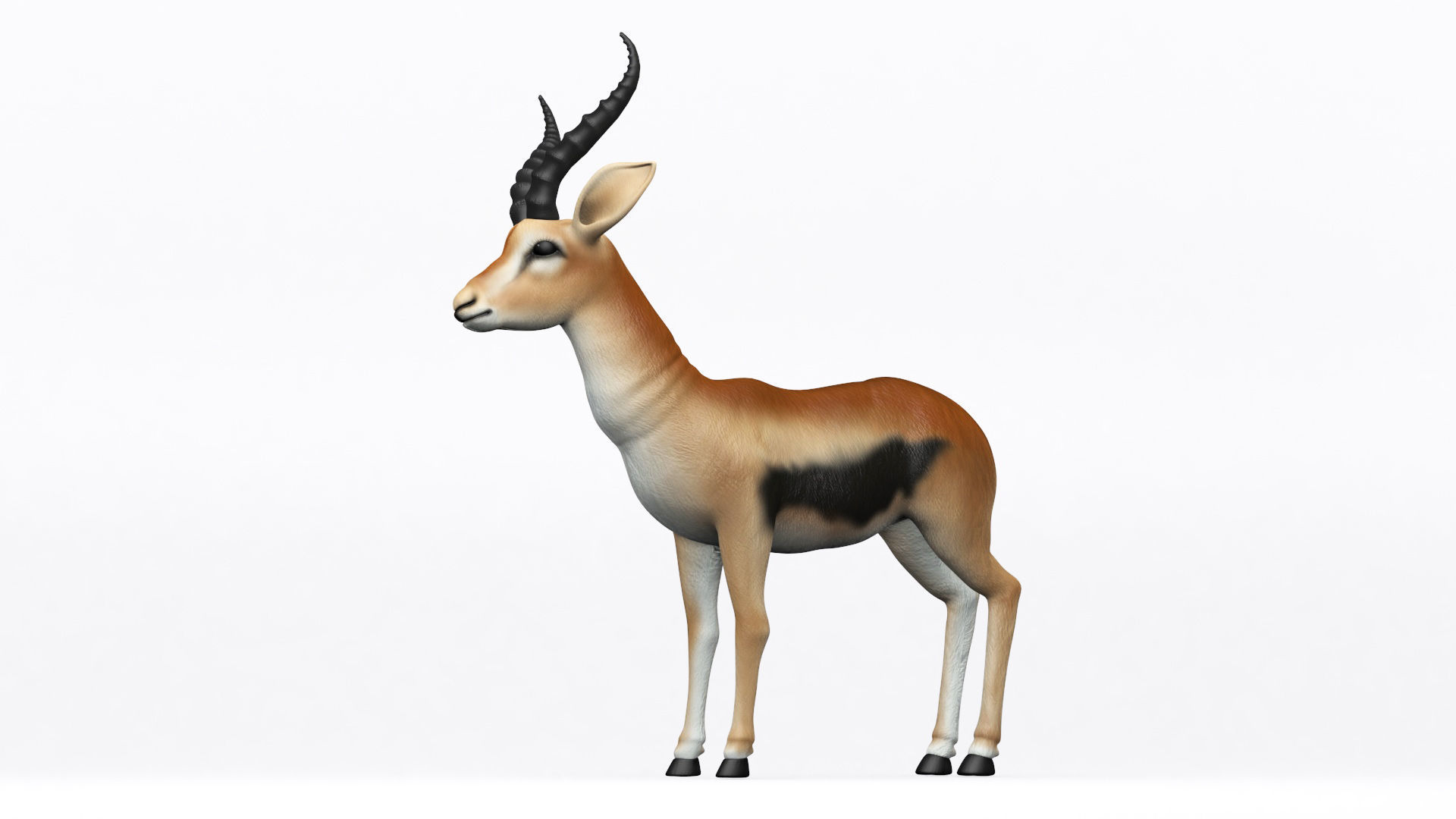 3D ANTELOPE Low-poly 3D model_5