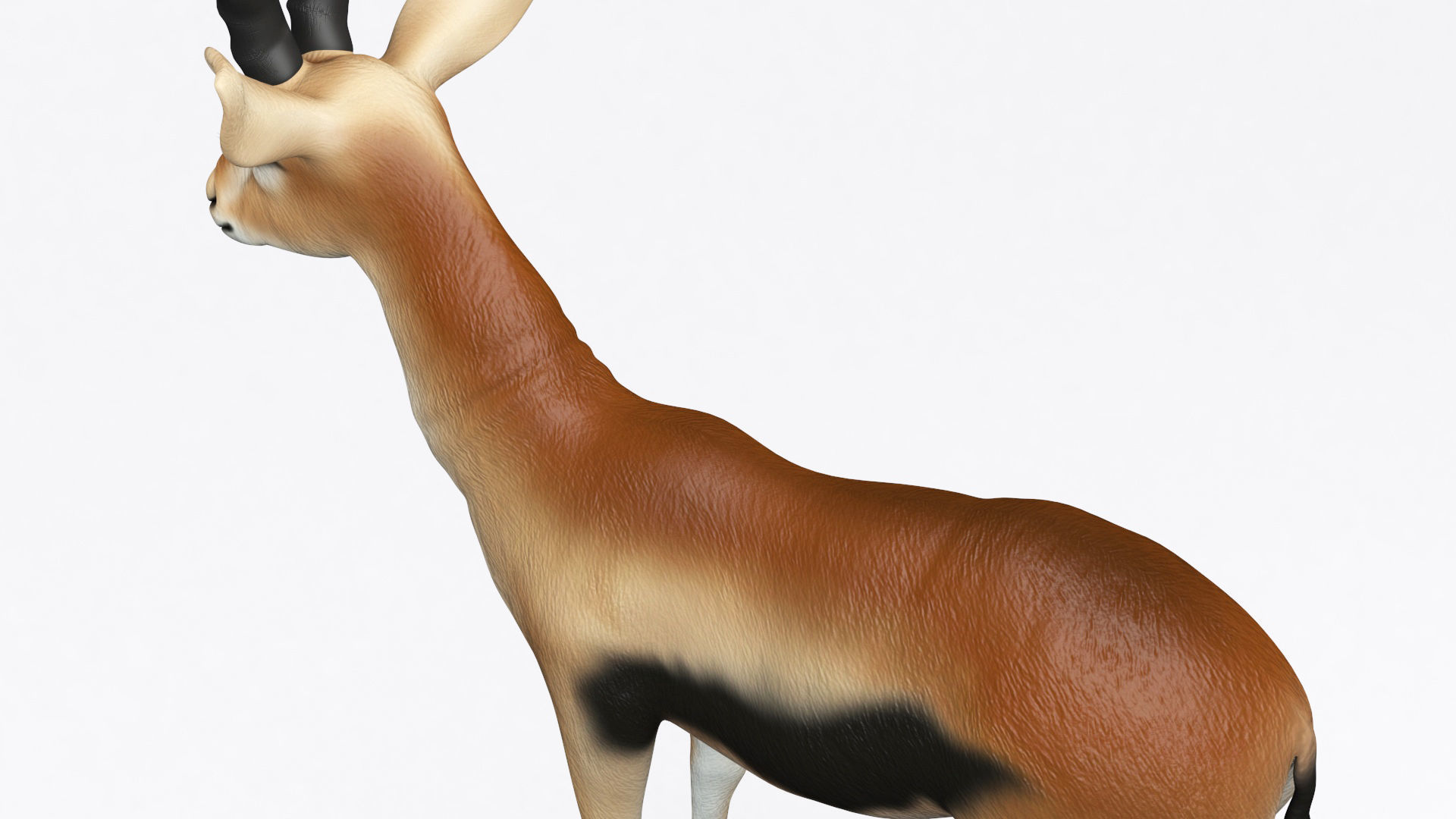 3D ANTELOPE Low-poly 3D model_10