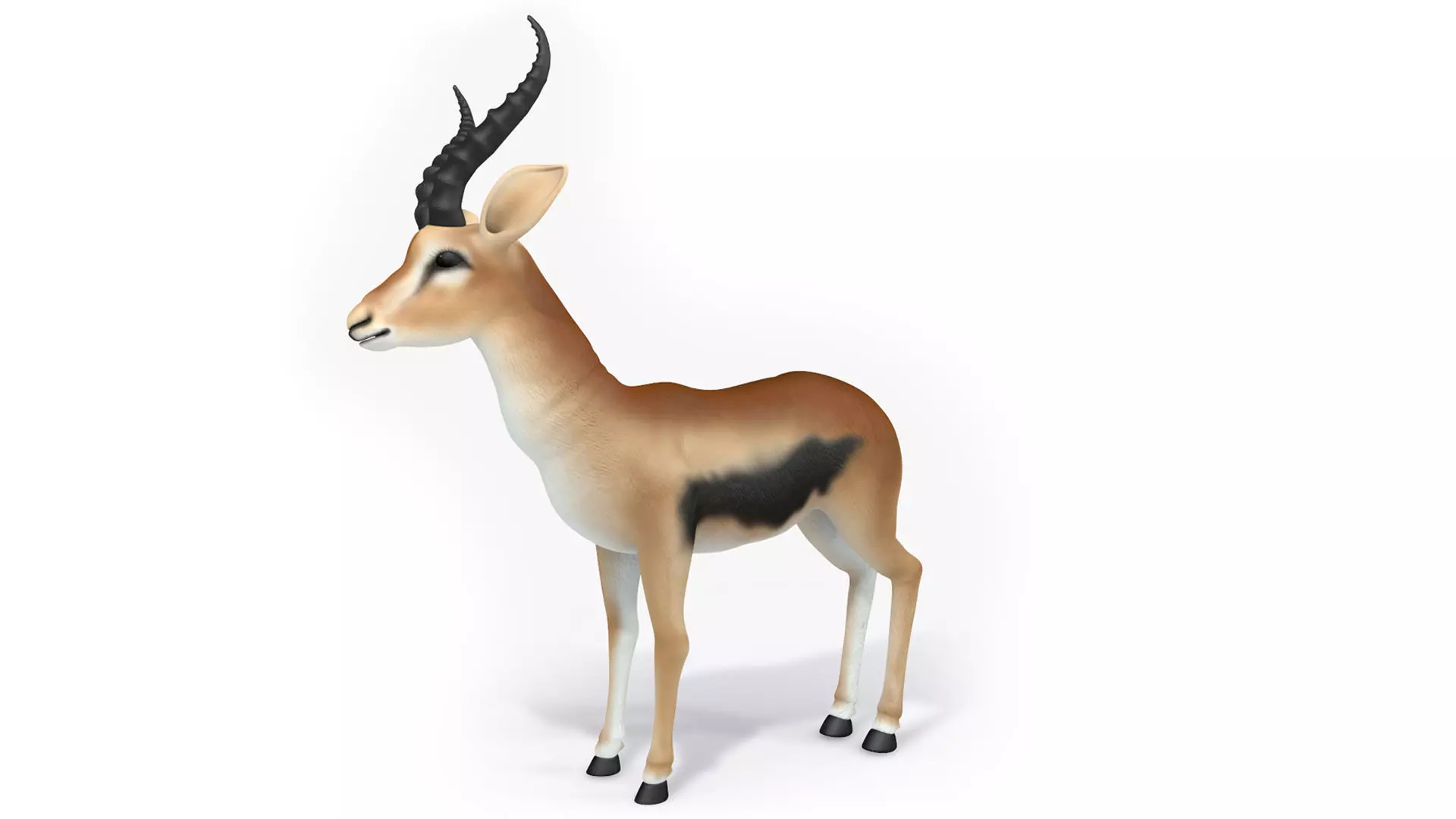 3D ANTELOPE Low-poly 3D model_0