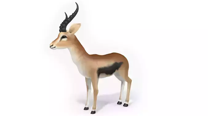 3D ANTELOPE