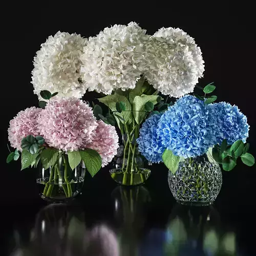 Hydrangea set 001