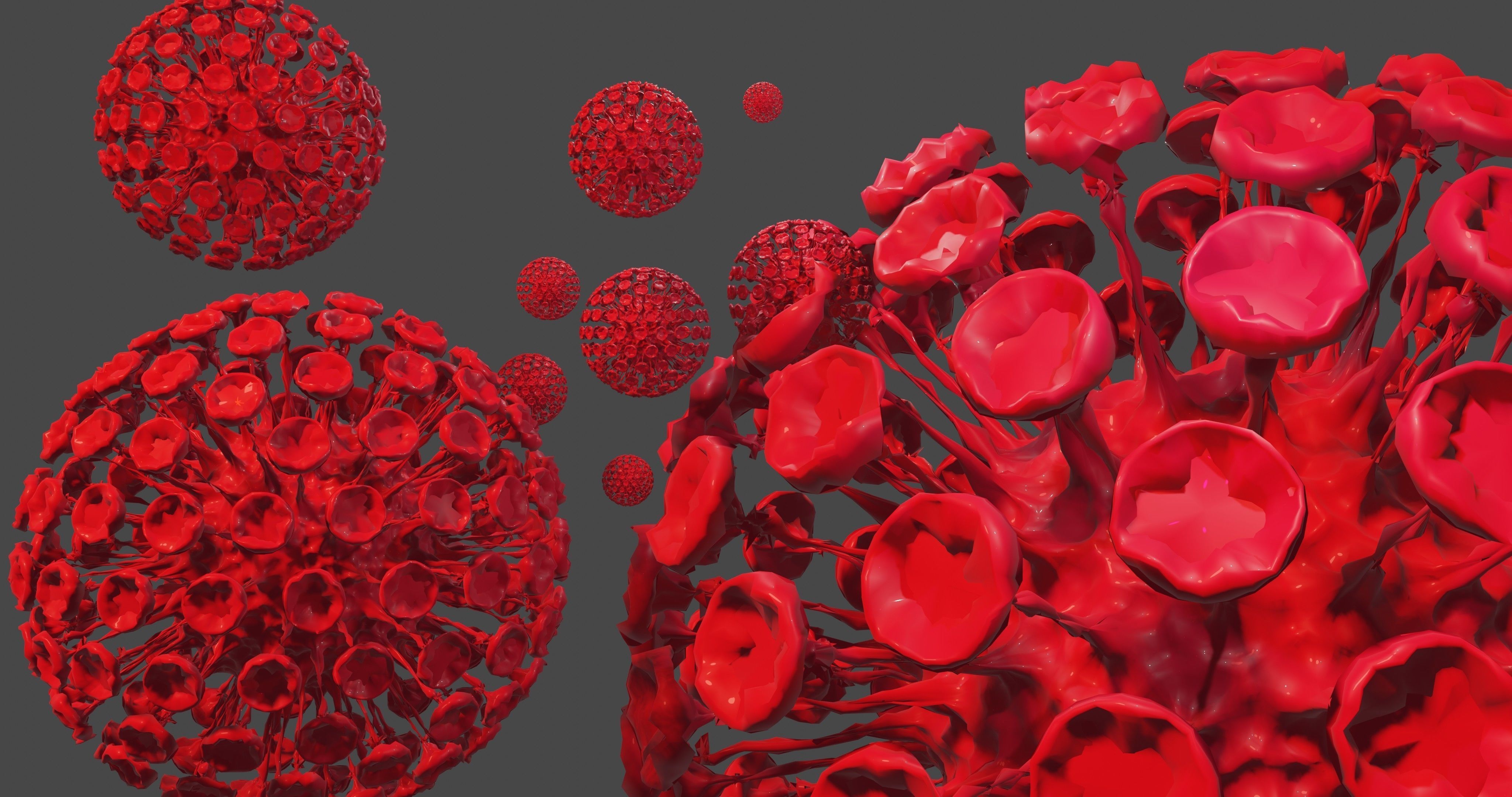 ANIMATED VIRUS  3D model_3