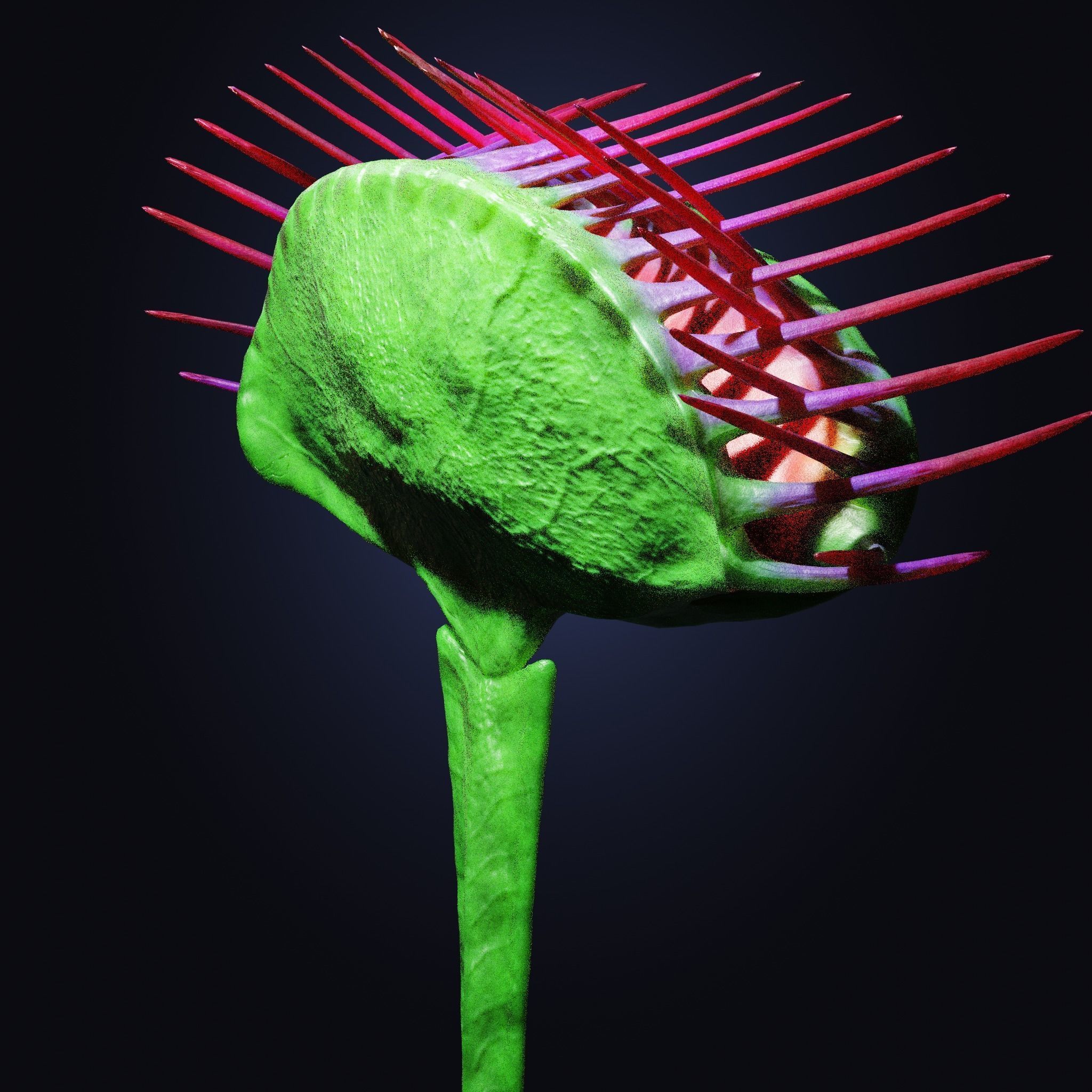 Venus Fly-Trap Rigged Low-poly 3D model_11
