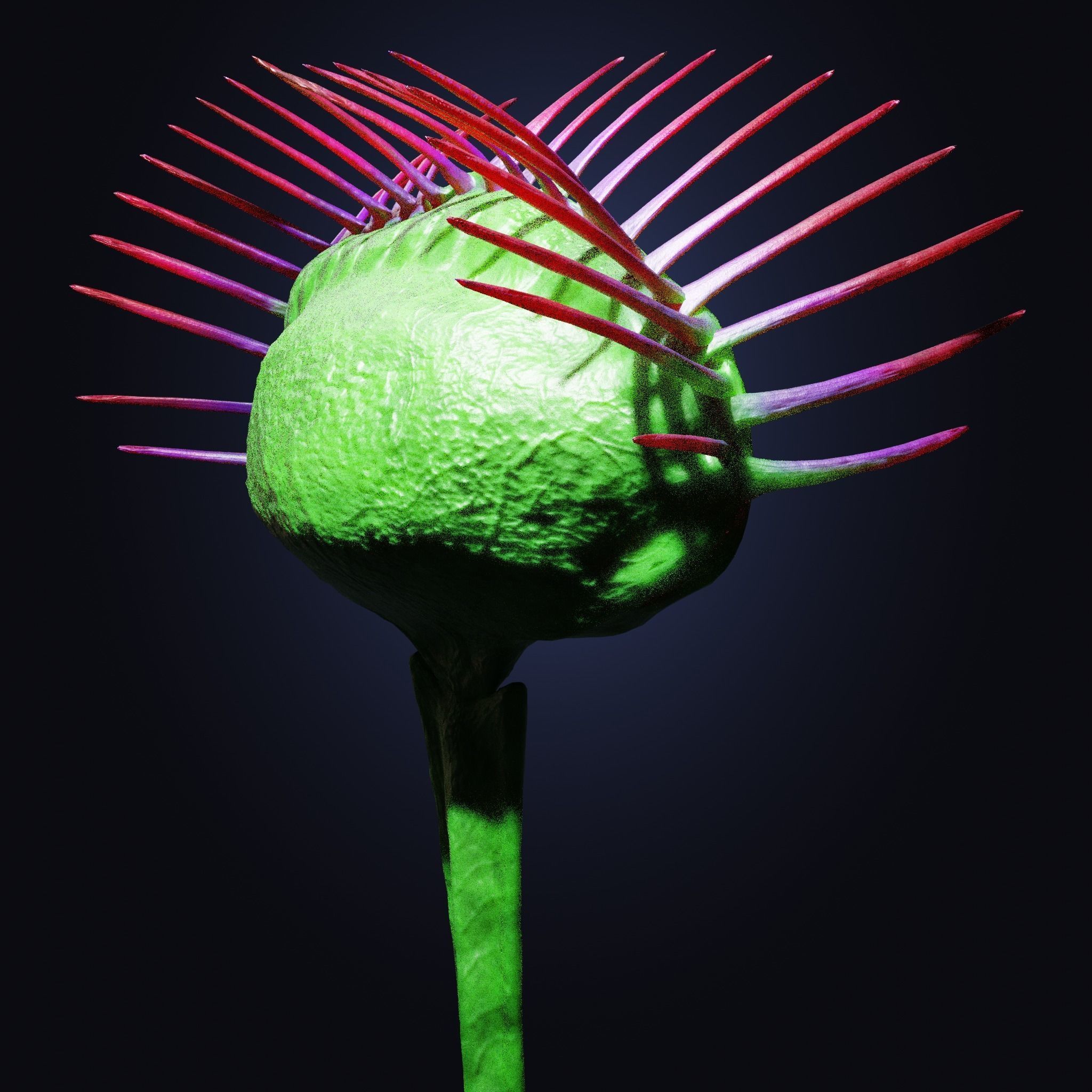 Venus Fly-Trap Rigged Low-poly 3D model_12