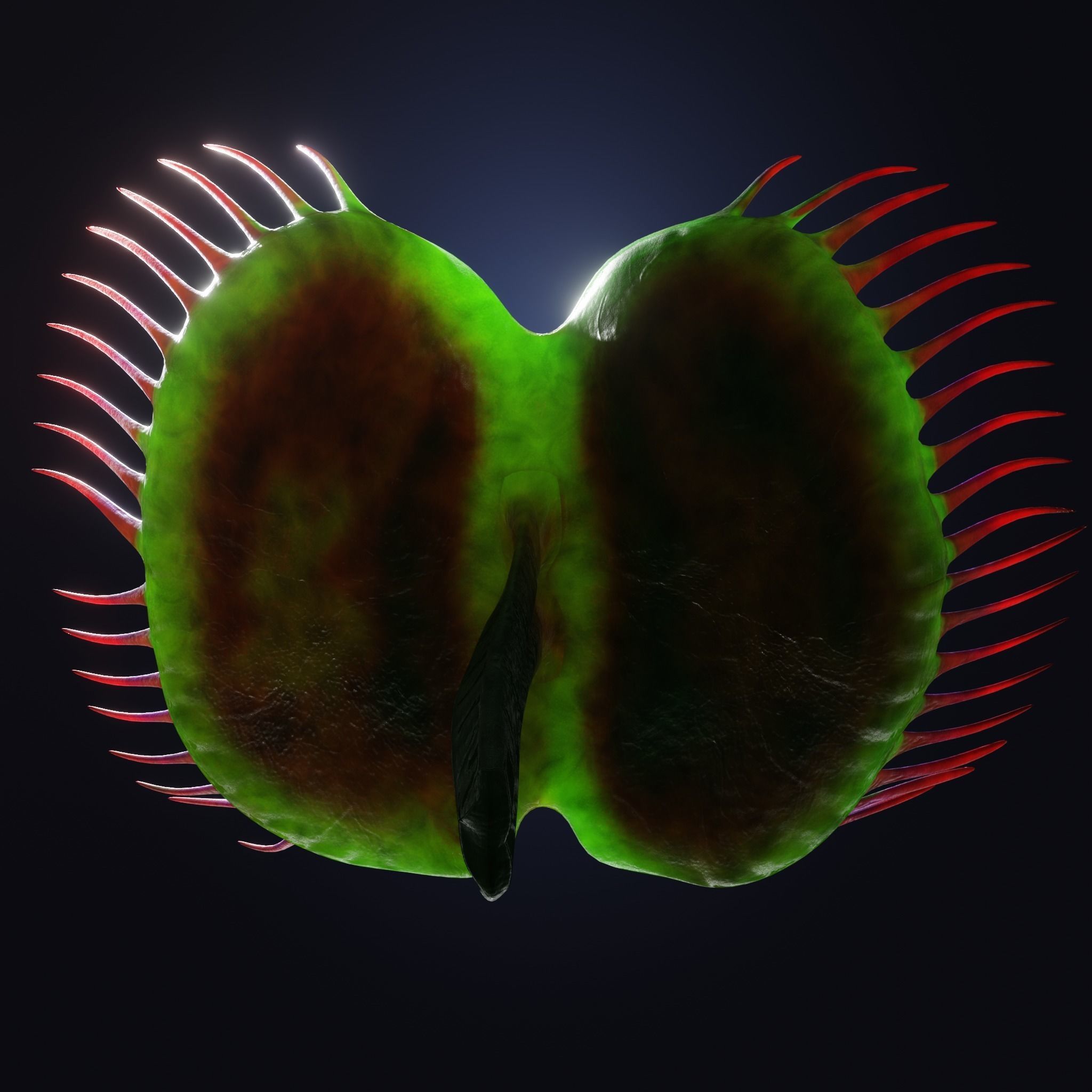 Venus Fly-Trap Rigged Low-poly 3D model_24