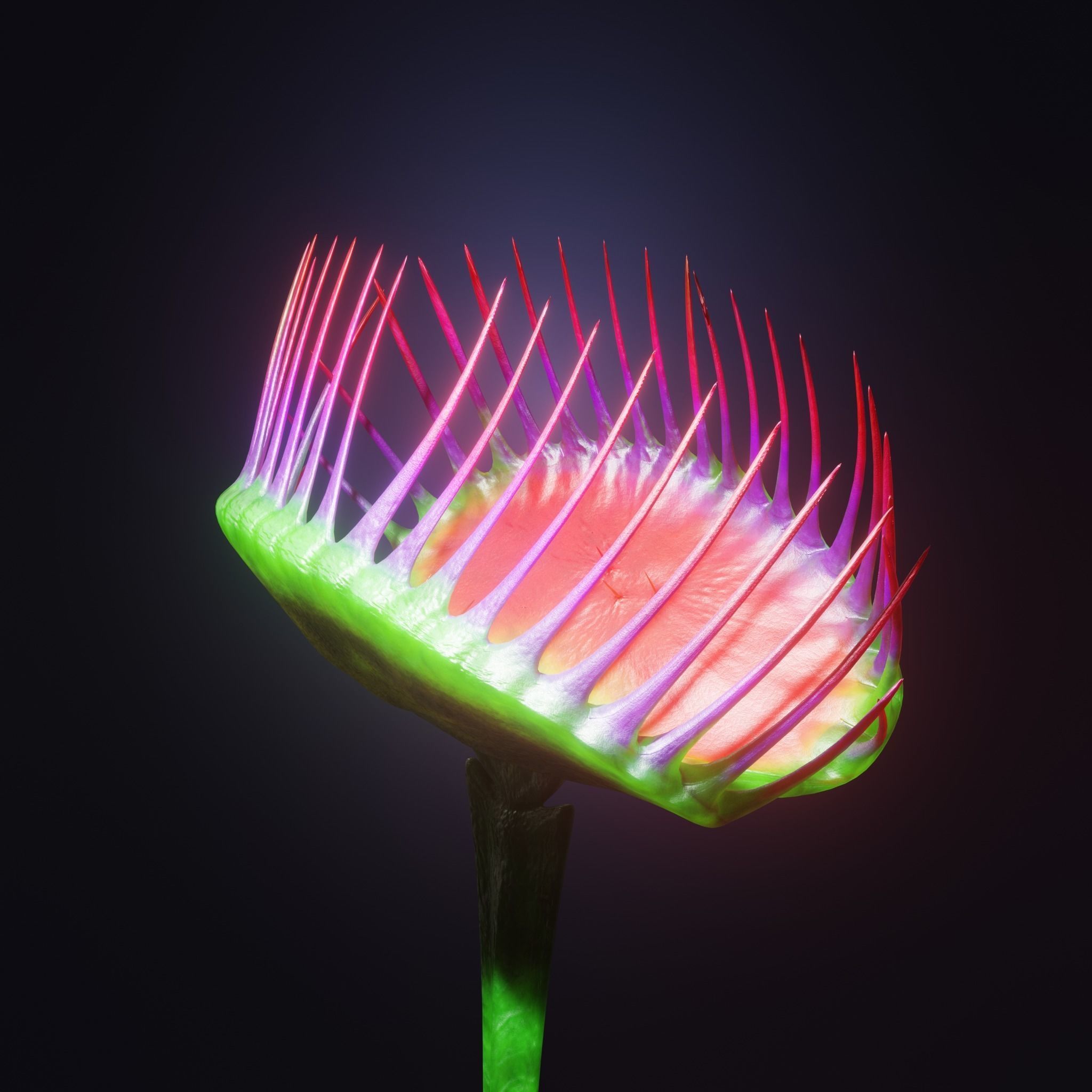 Venus Fly-Trap Rigged Low-poly 3D model_33