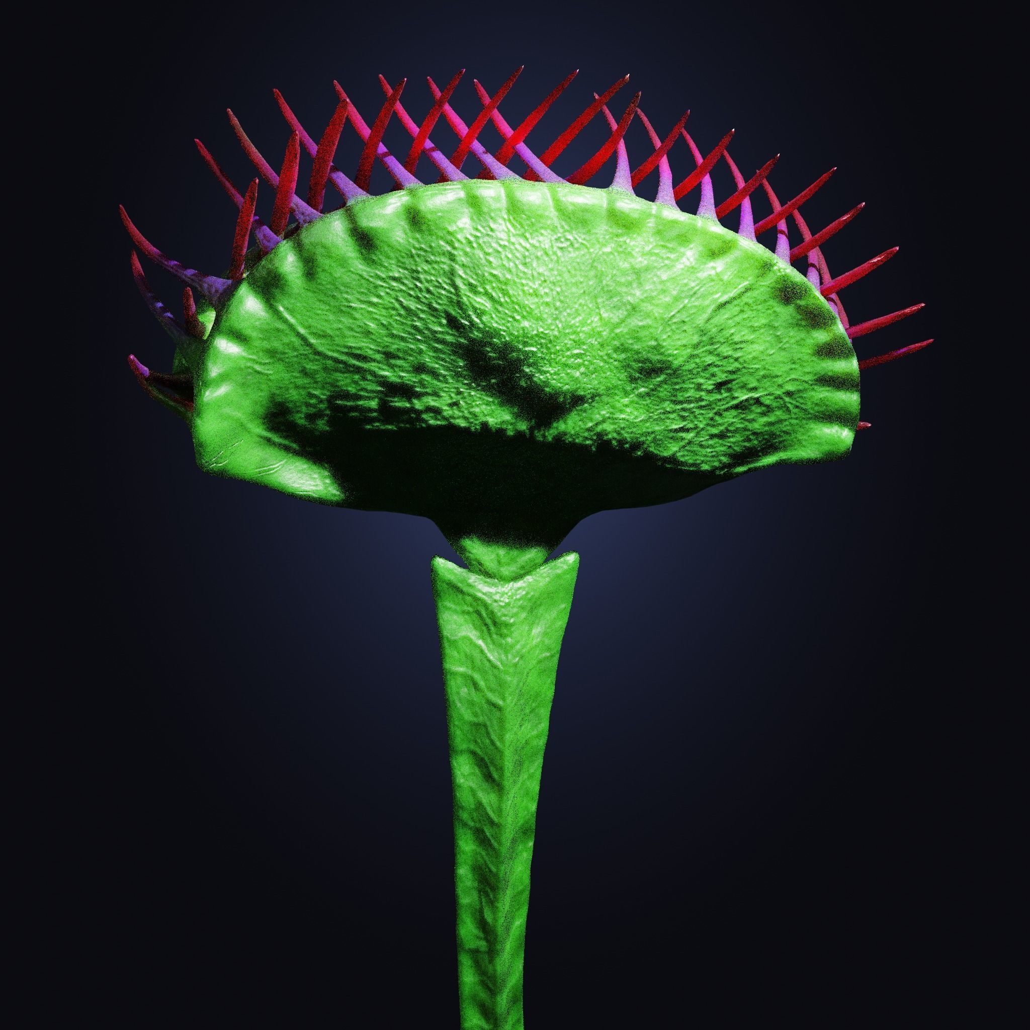 Venus Fly-Trap Rigged Low-poly 3D model_34