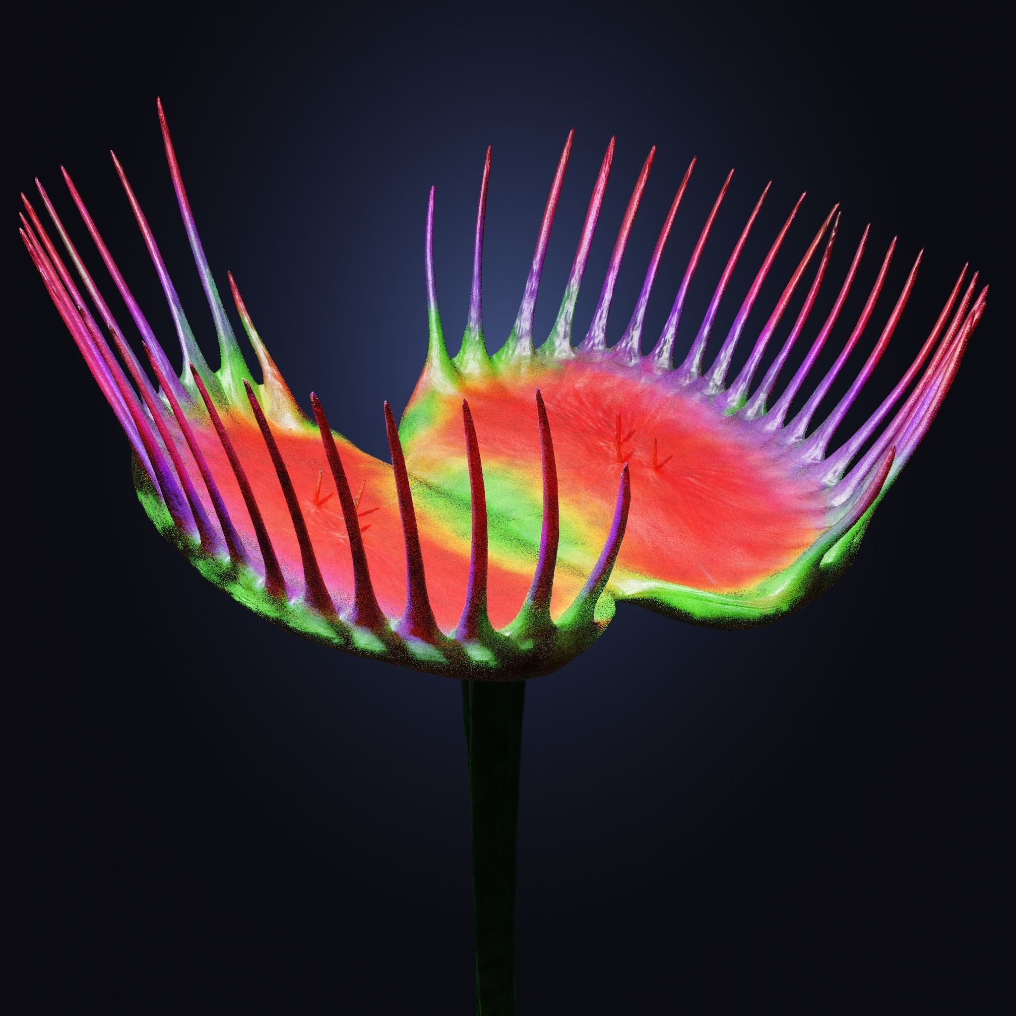 Venus Fly-Trap Rigged Low-poly 3D model_9
