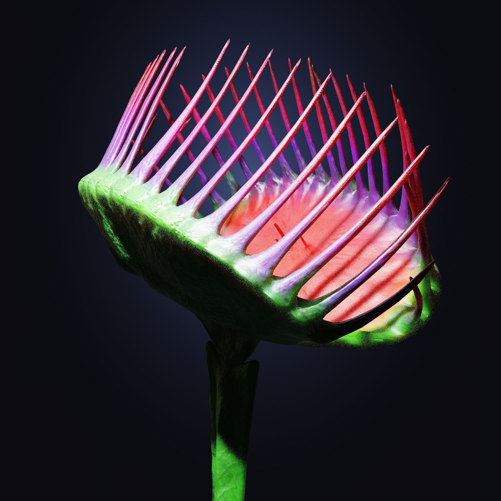 Venus Fly-Trap Rigged Low-poly 3D model_10