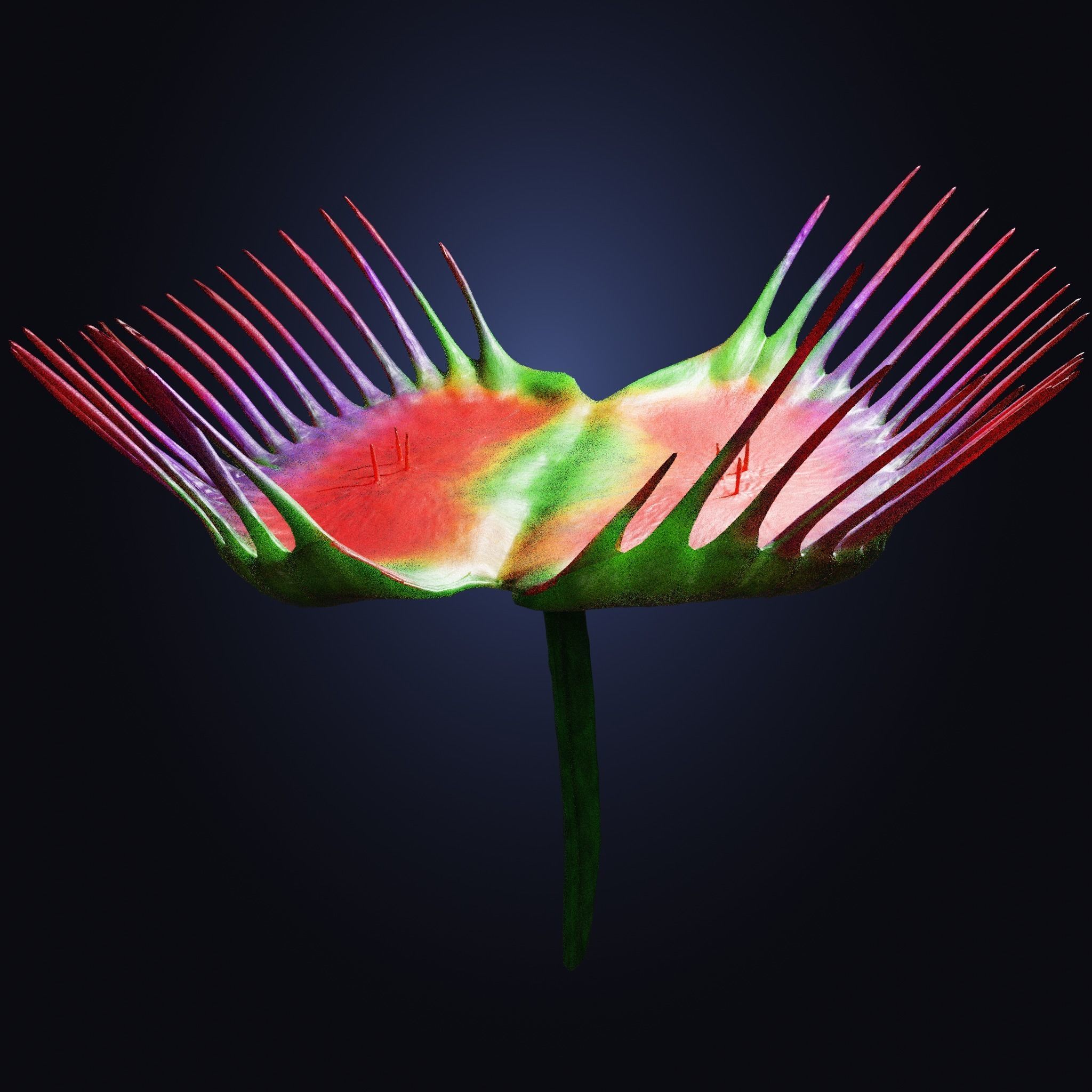 Venus Fly-Trap Rigged Low-poly 3D model_35