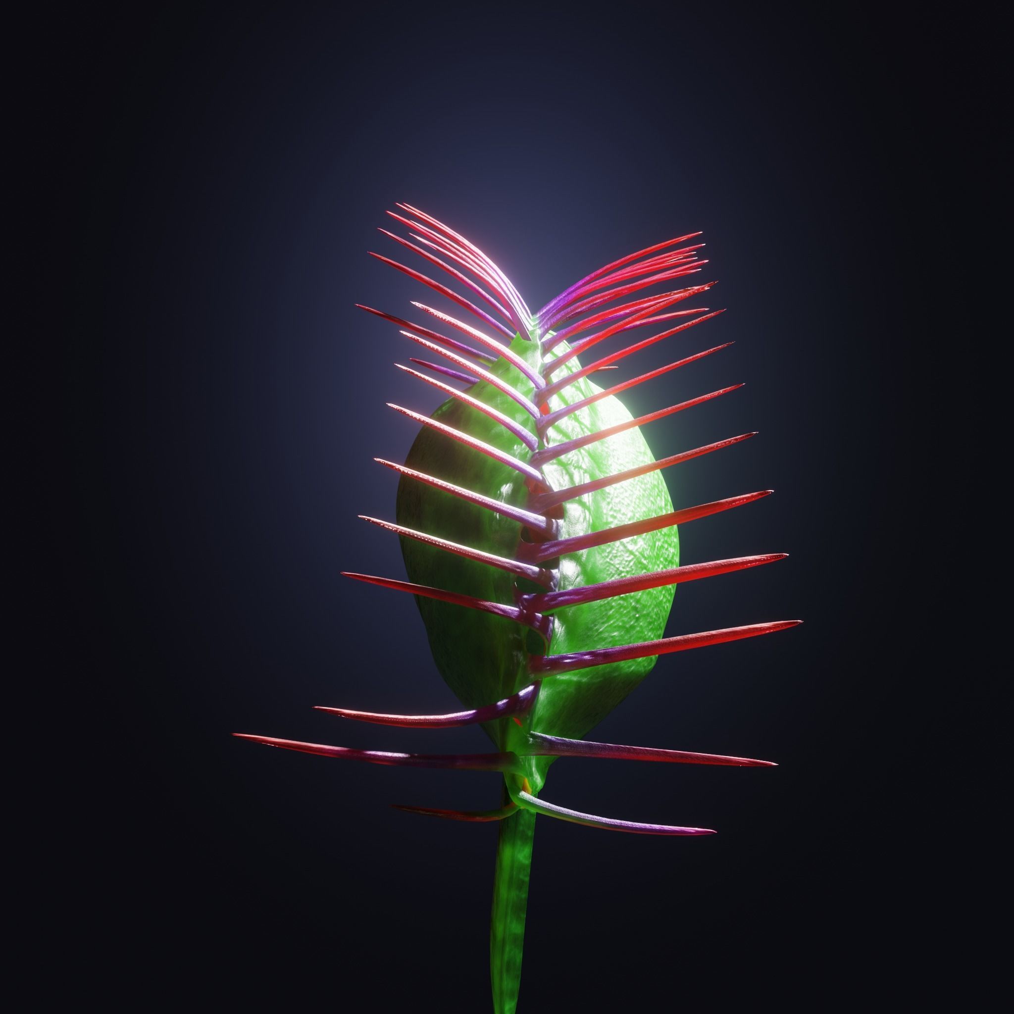 Venus Fly-Trap Rigged Low-poly 3D model_28