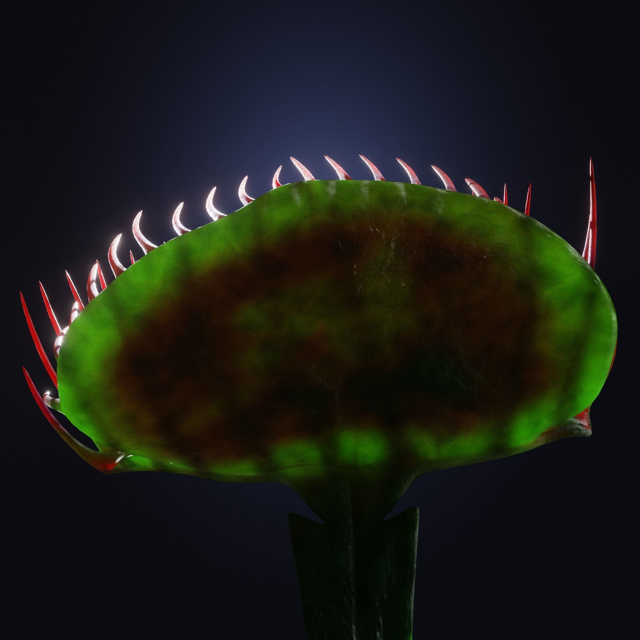 Venus Fly-Trap Rigged Low-poly 3D model_25