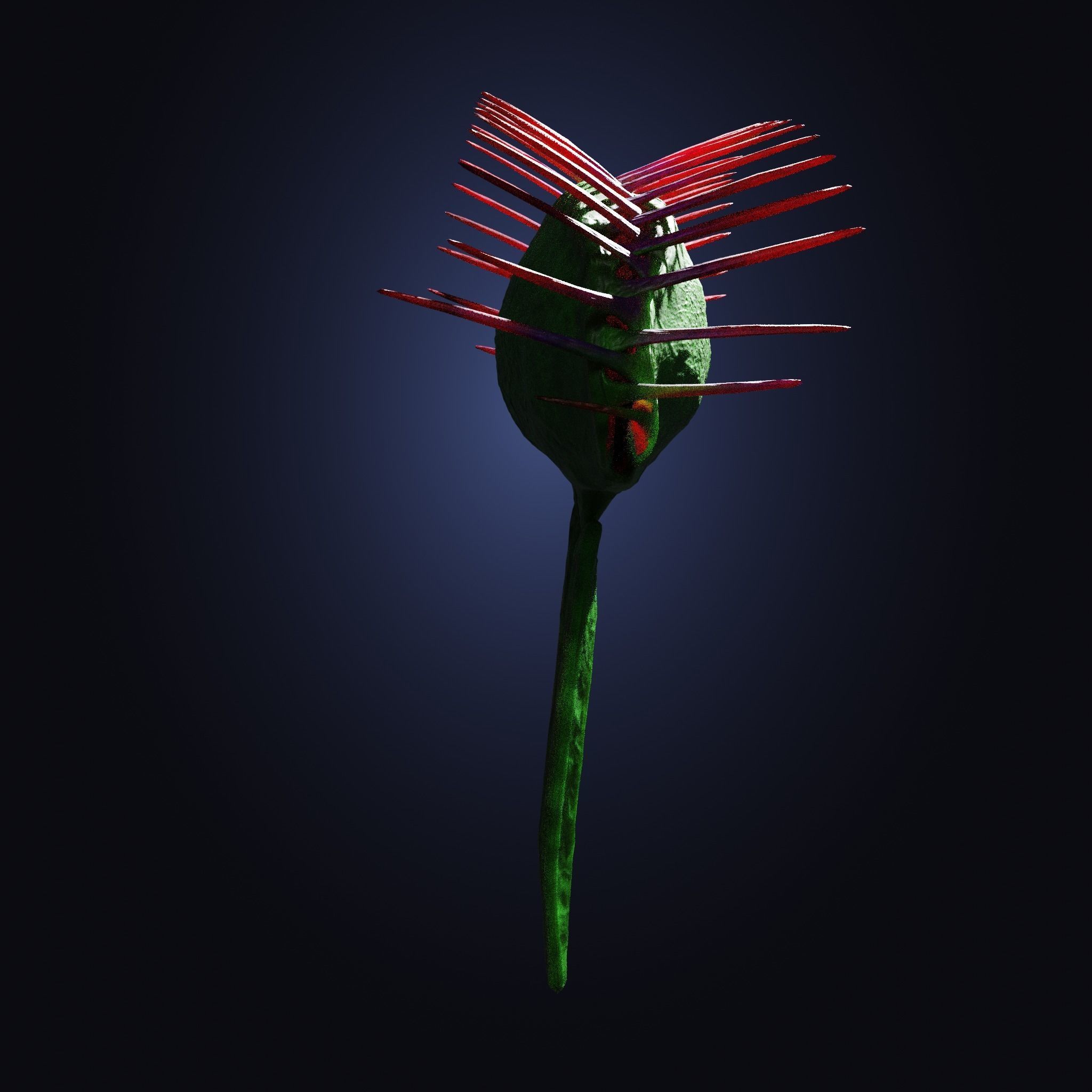 Venus Fly-Trap Rigged Low-poly 3D model_14