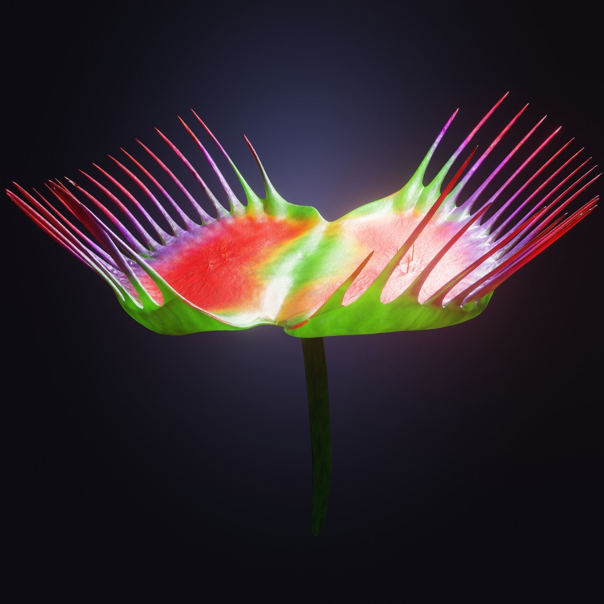 Venus Fly-Trap Rigged Low-poly 3D model_22