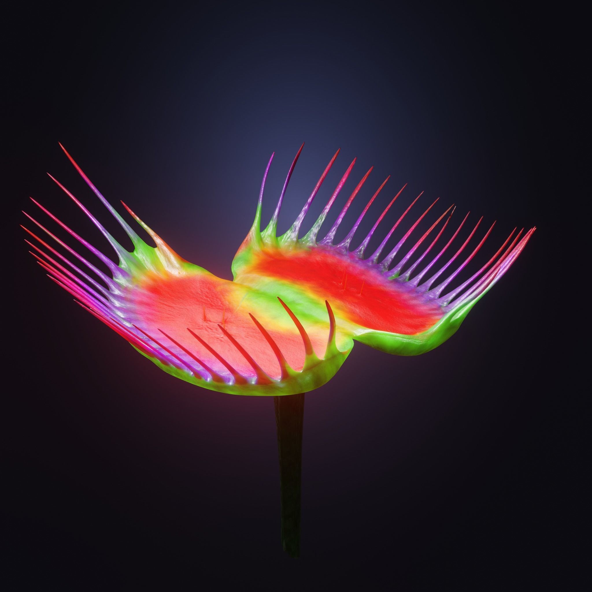 Venus Fly-Trap Rigged Low-poly 3D model_23
