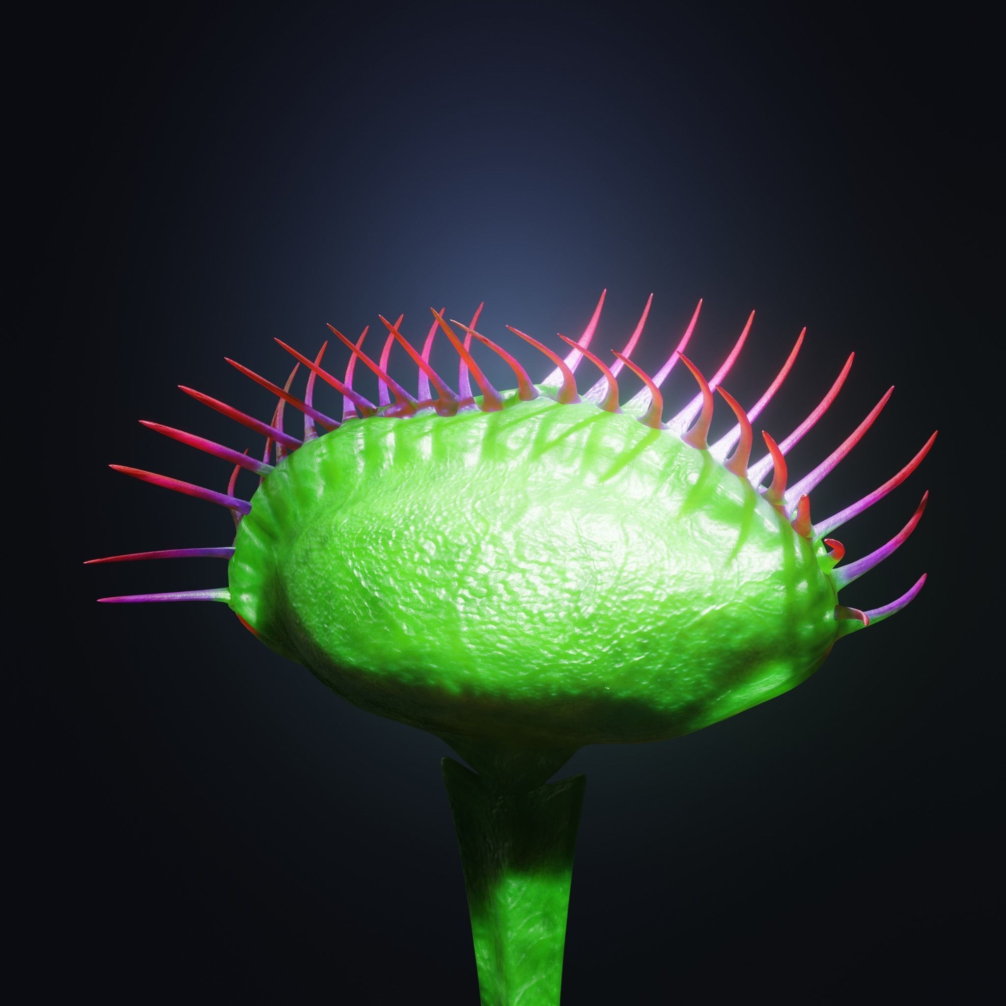 Venus Fly-Trap Rigged Low-poly 3D model_31