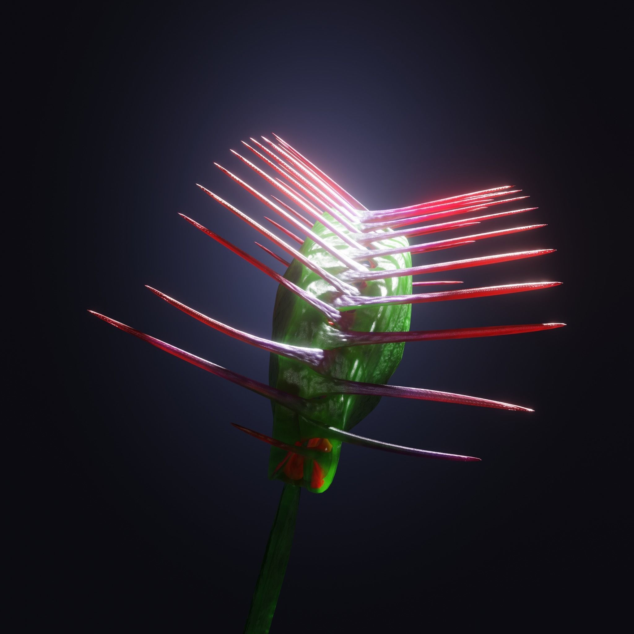 Venus Fly-Trap Rigged Low-poly 3D model_29