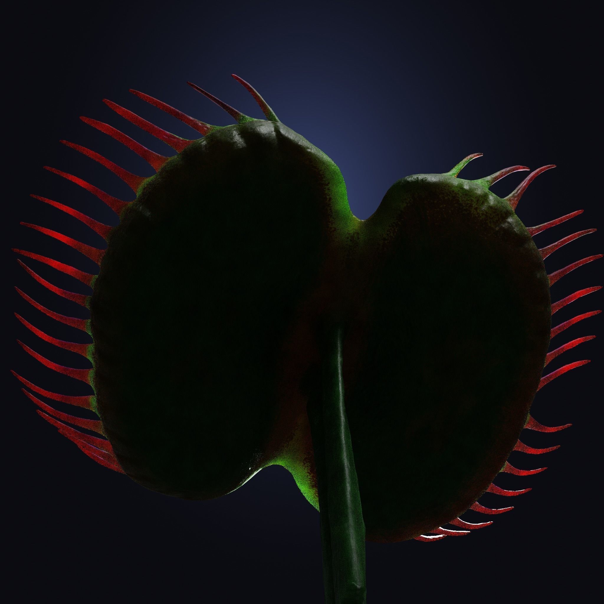 Venus Fly-Trap Rigged Low-poly 3D model_17