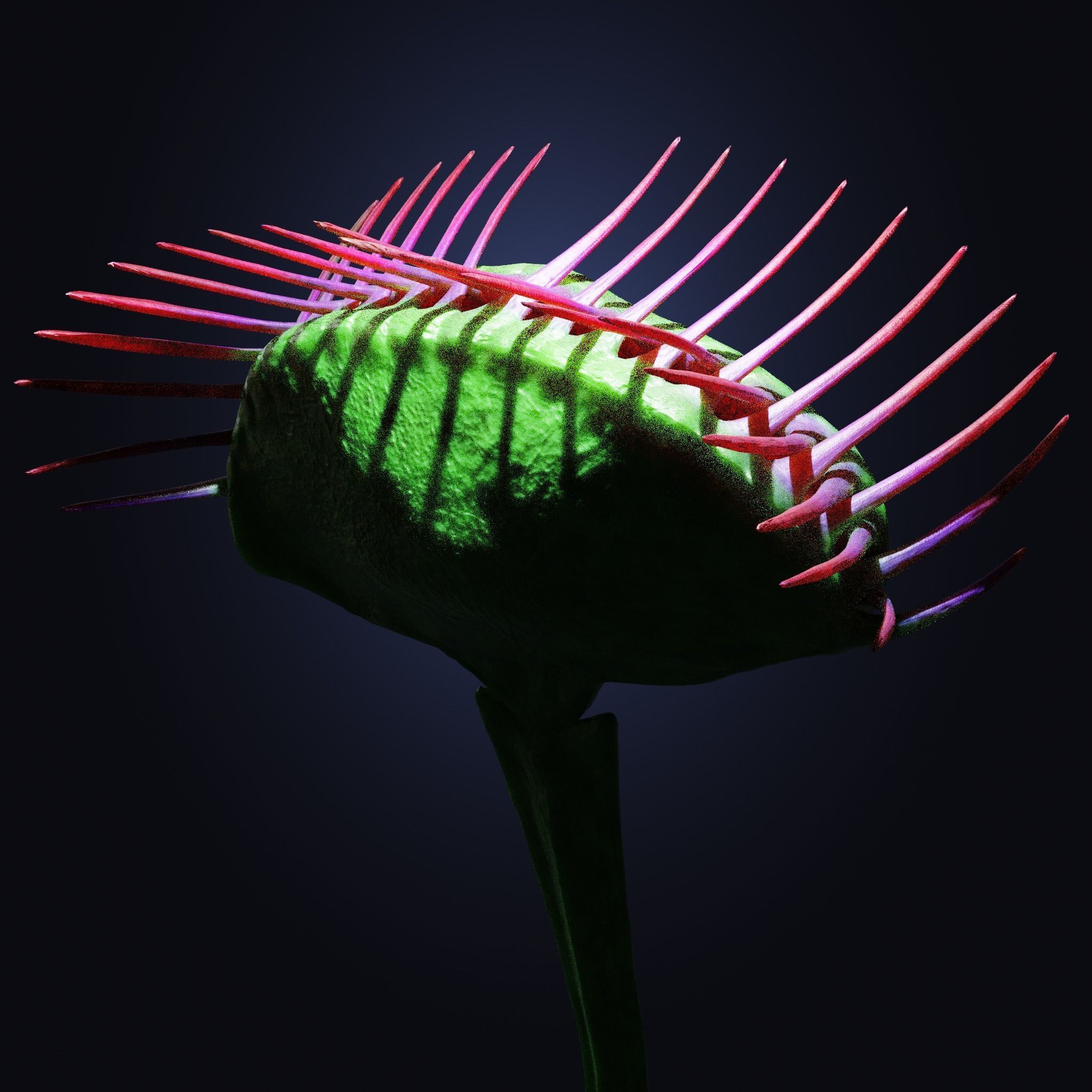Venus Fly-Trap Rigged Low-poly 3D model_3