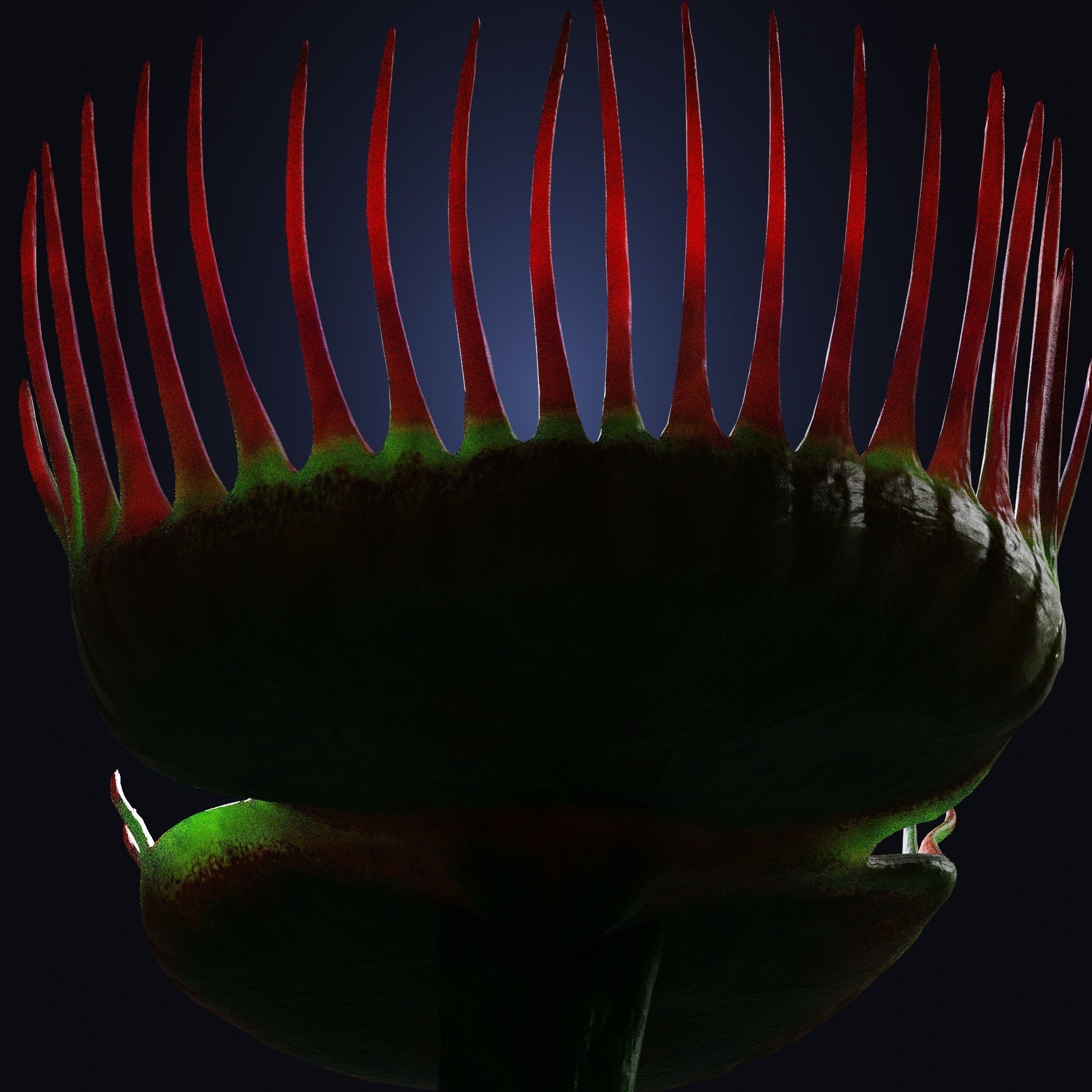 Venus Fly-Trap Rigged Low-poly 3D model_36