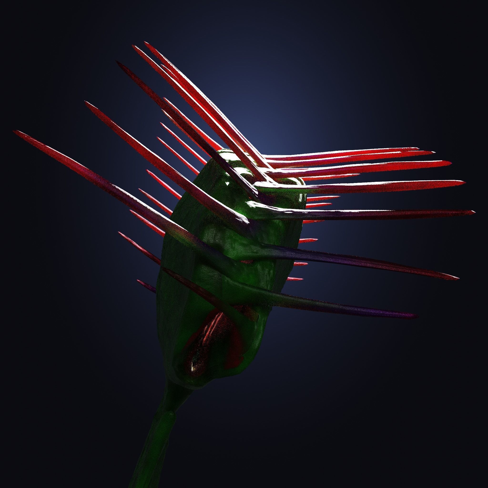 Venus Fly-Trap Rigged Low-poly 3D model_16