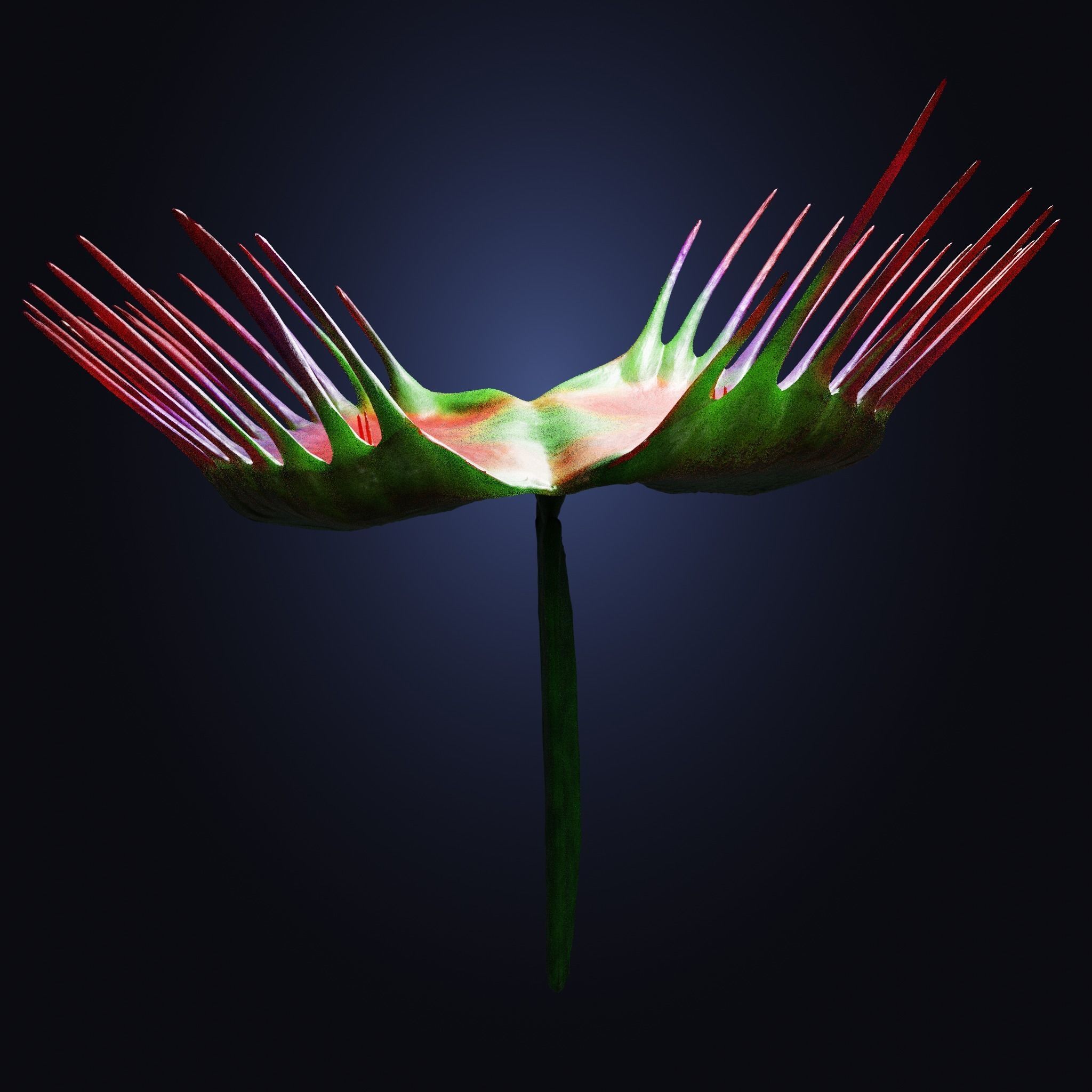 Venus Fly-Trap Rigged Low-poly 3D model_8