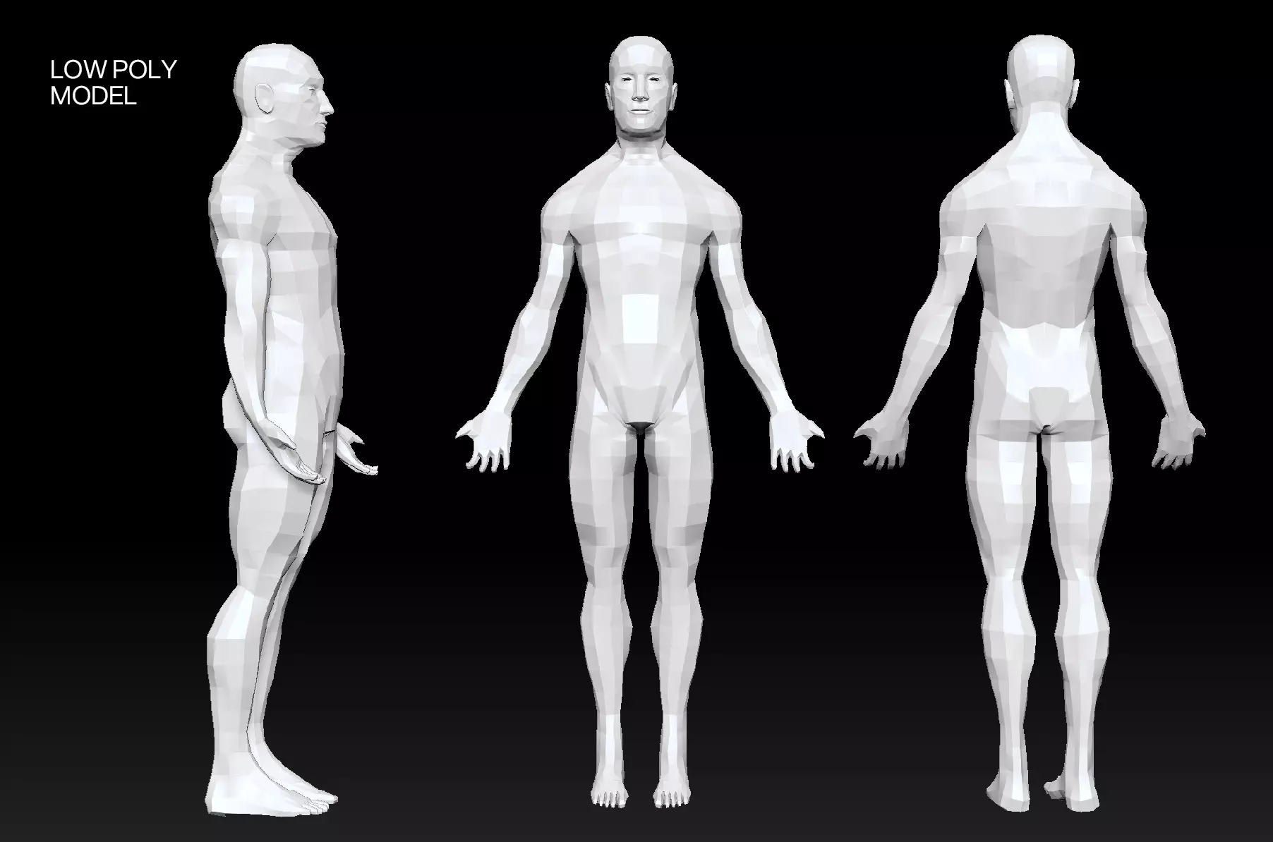 3D model Ecorche Male Anatomy Model High Poly Low Poly ZBrush ZTL