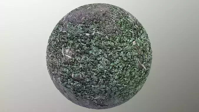 PBR Grass 02 Mixed 1K