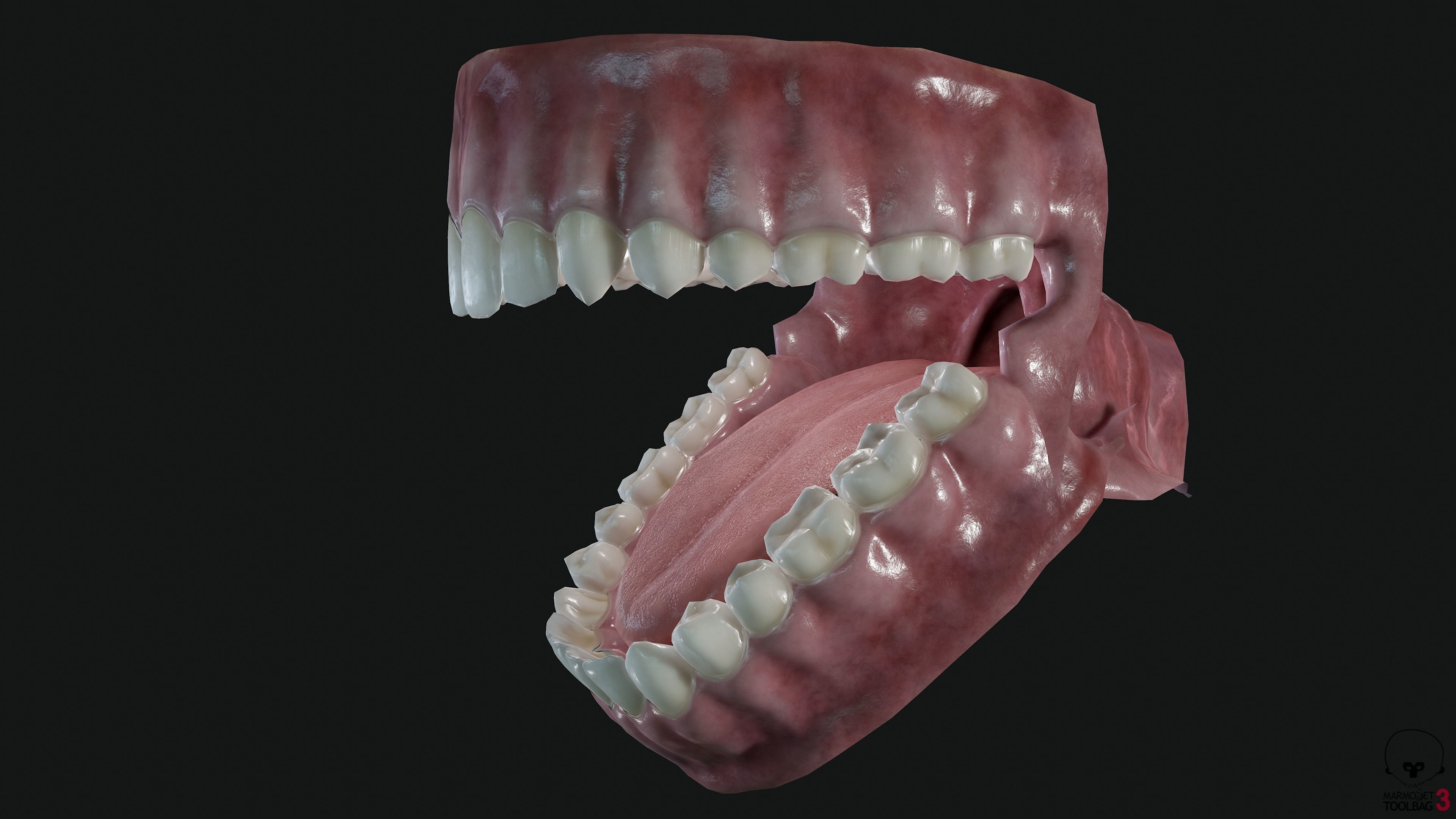 Teeth and tongue Low-poly 3D model_13